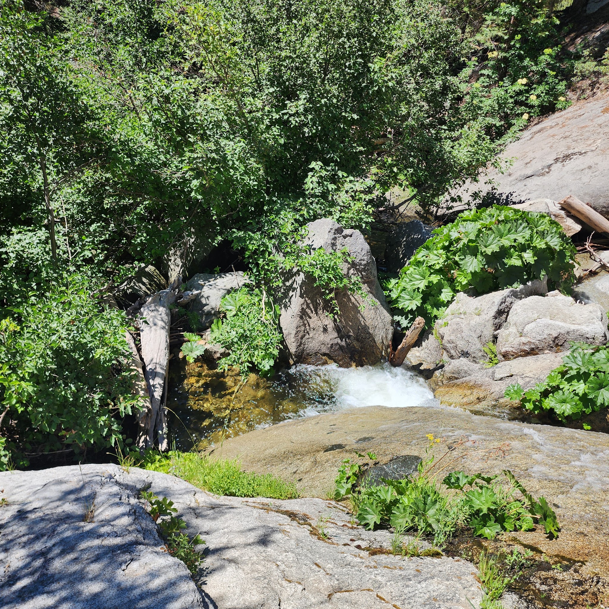 Whisky Falls Campground
