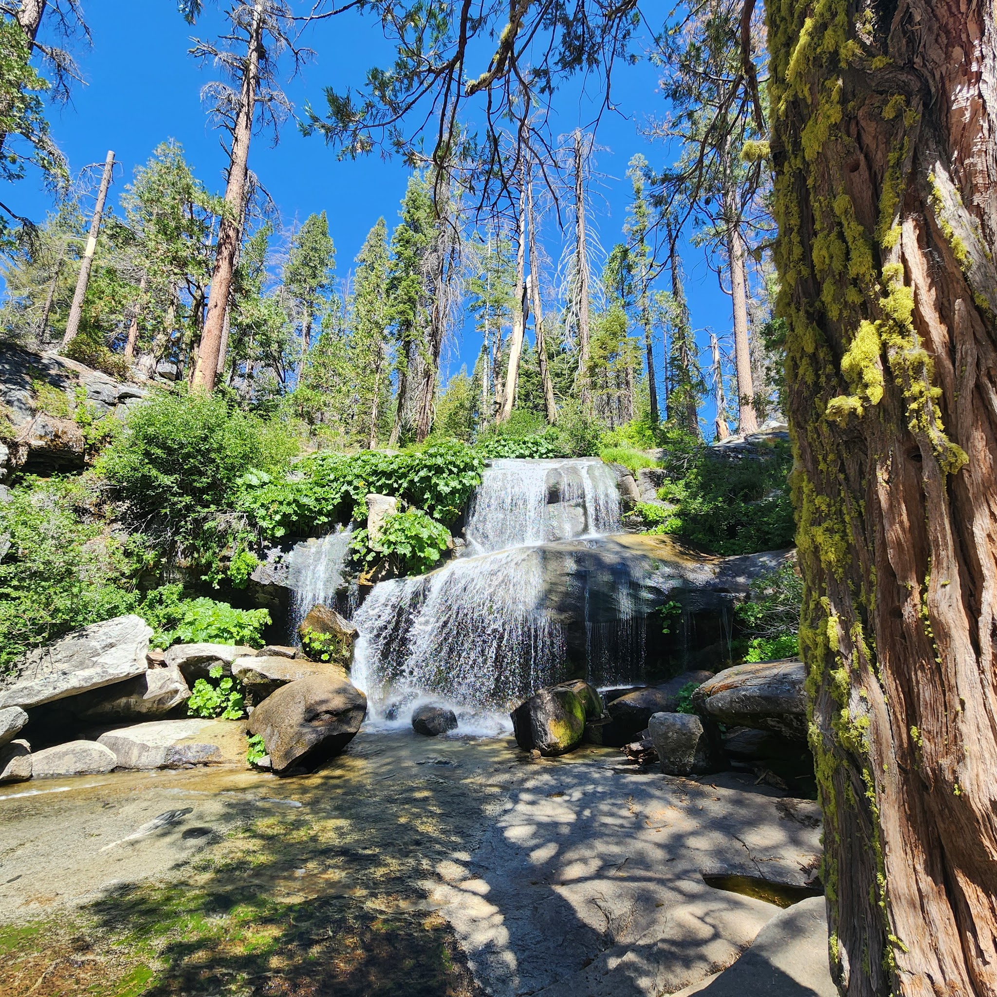 Whisky Falls Campground