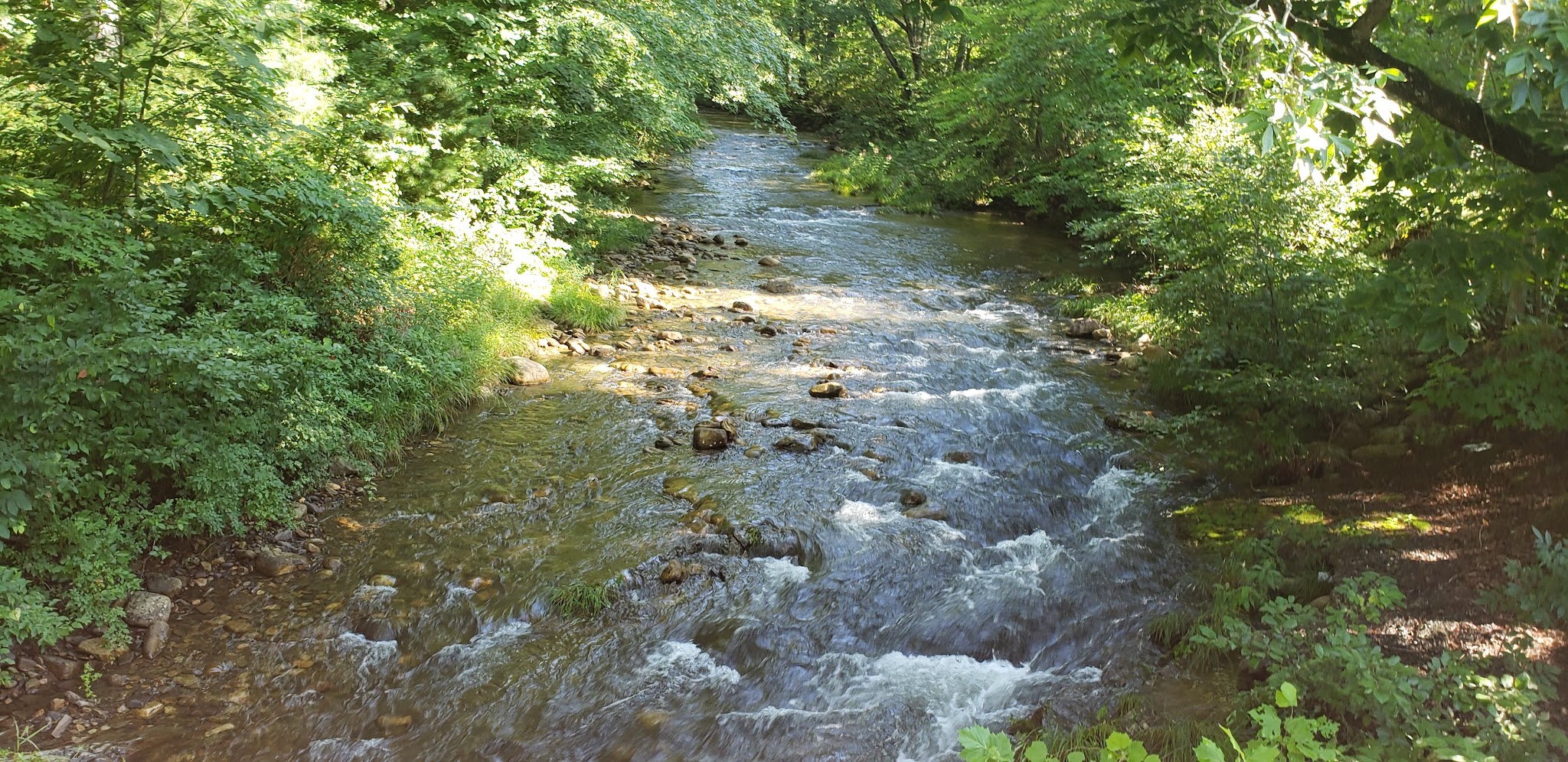 Whispering Pines Campground