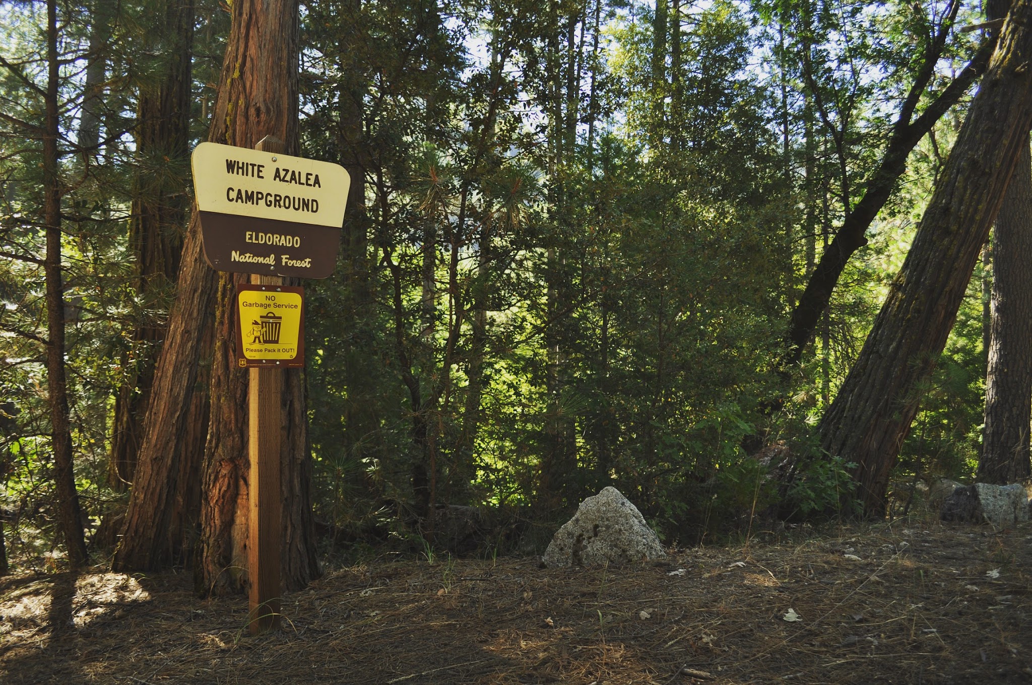 White Azalea Campground