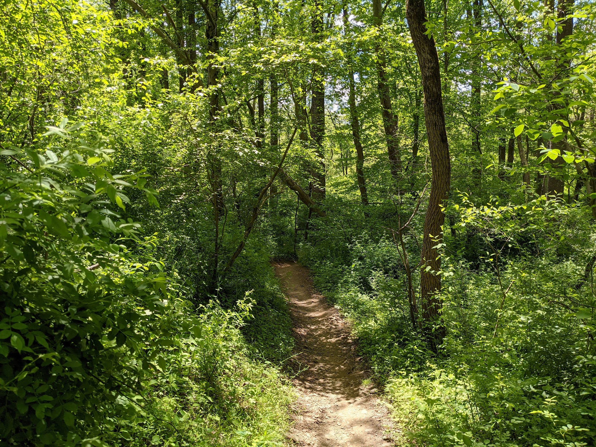 White Clay Creek State Park