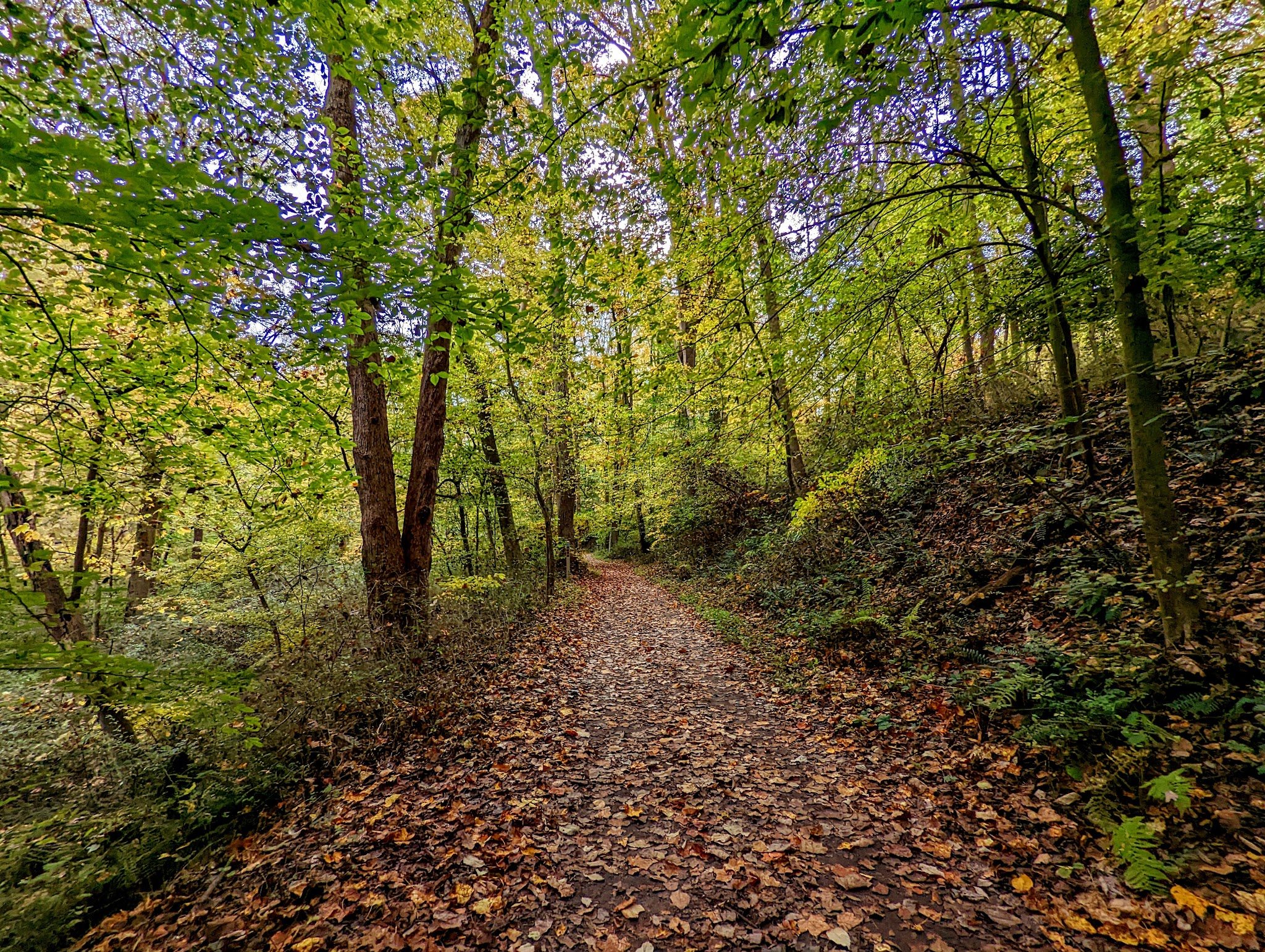 White Clay Creek State Park