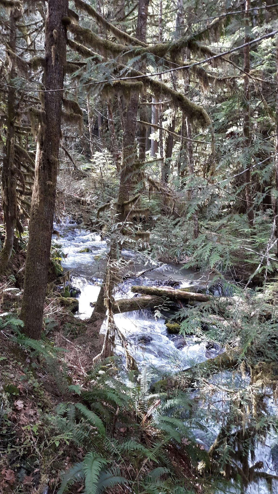 White Creek Campground