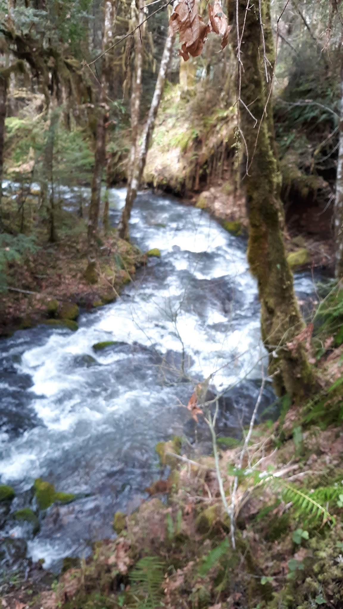 White Creek Campground