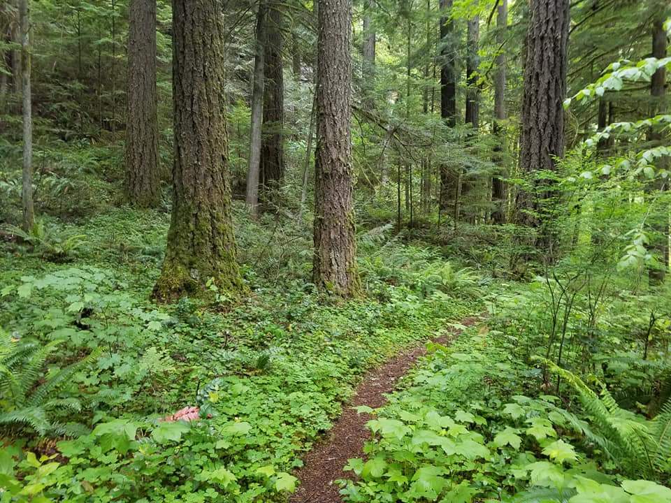 White Creek Campground