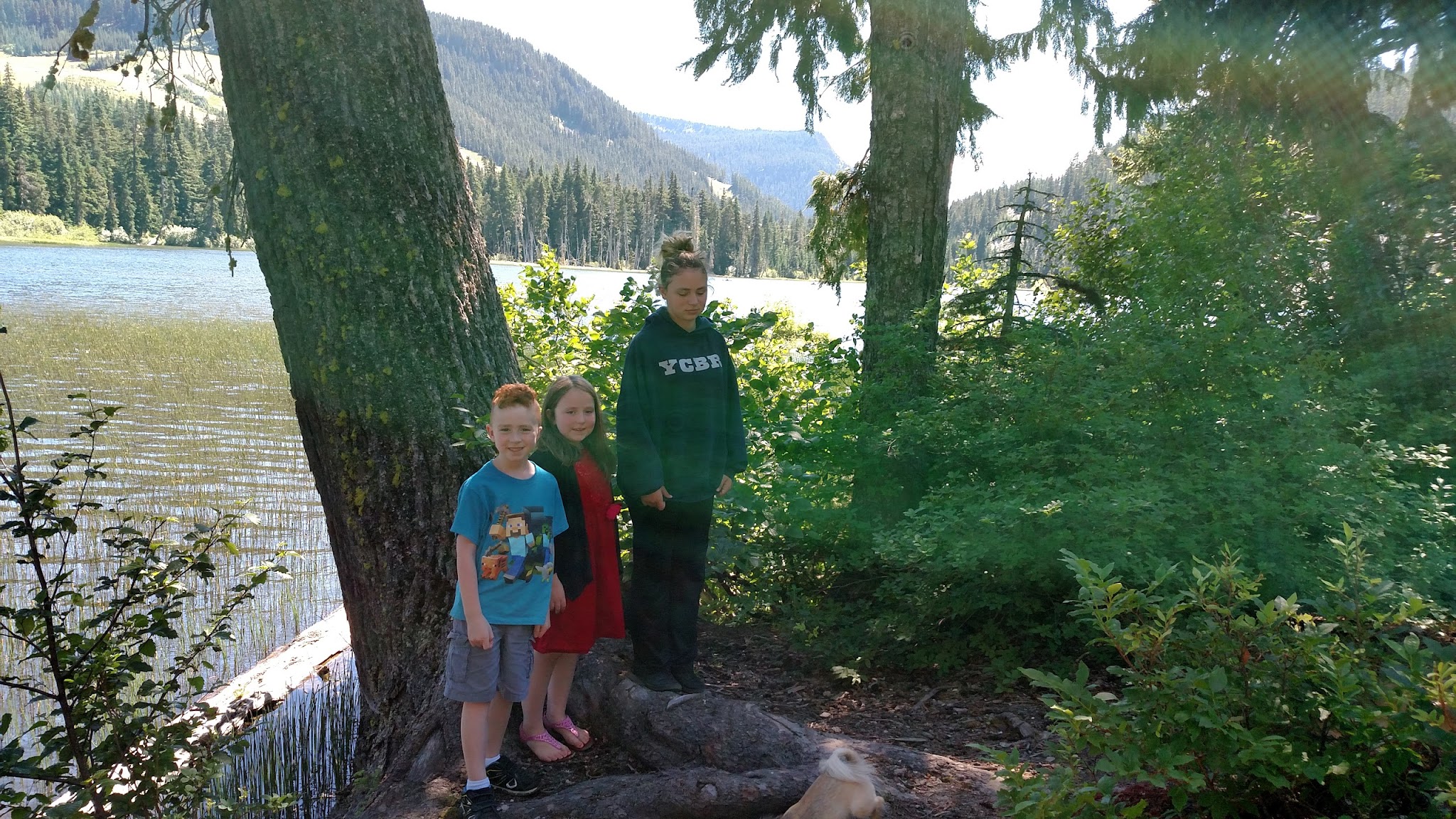 White Pass Lake (Leech Lake) Campground