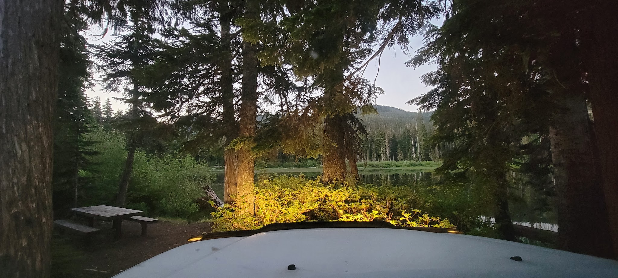 White Pass Lake (Leech Lake) Campground