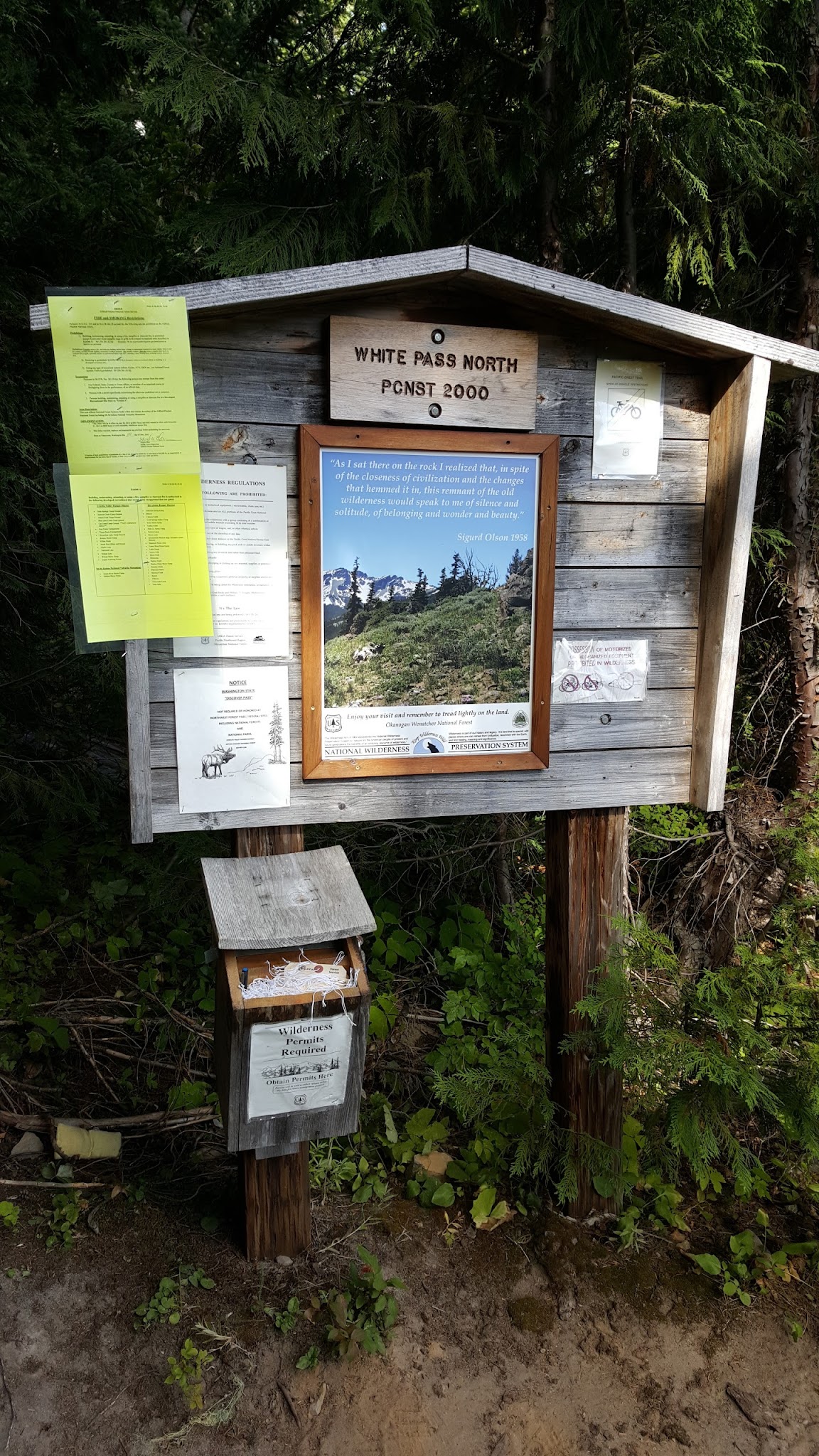 White Pass Lake (Leech Lake) Campground