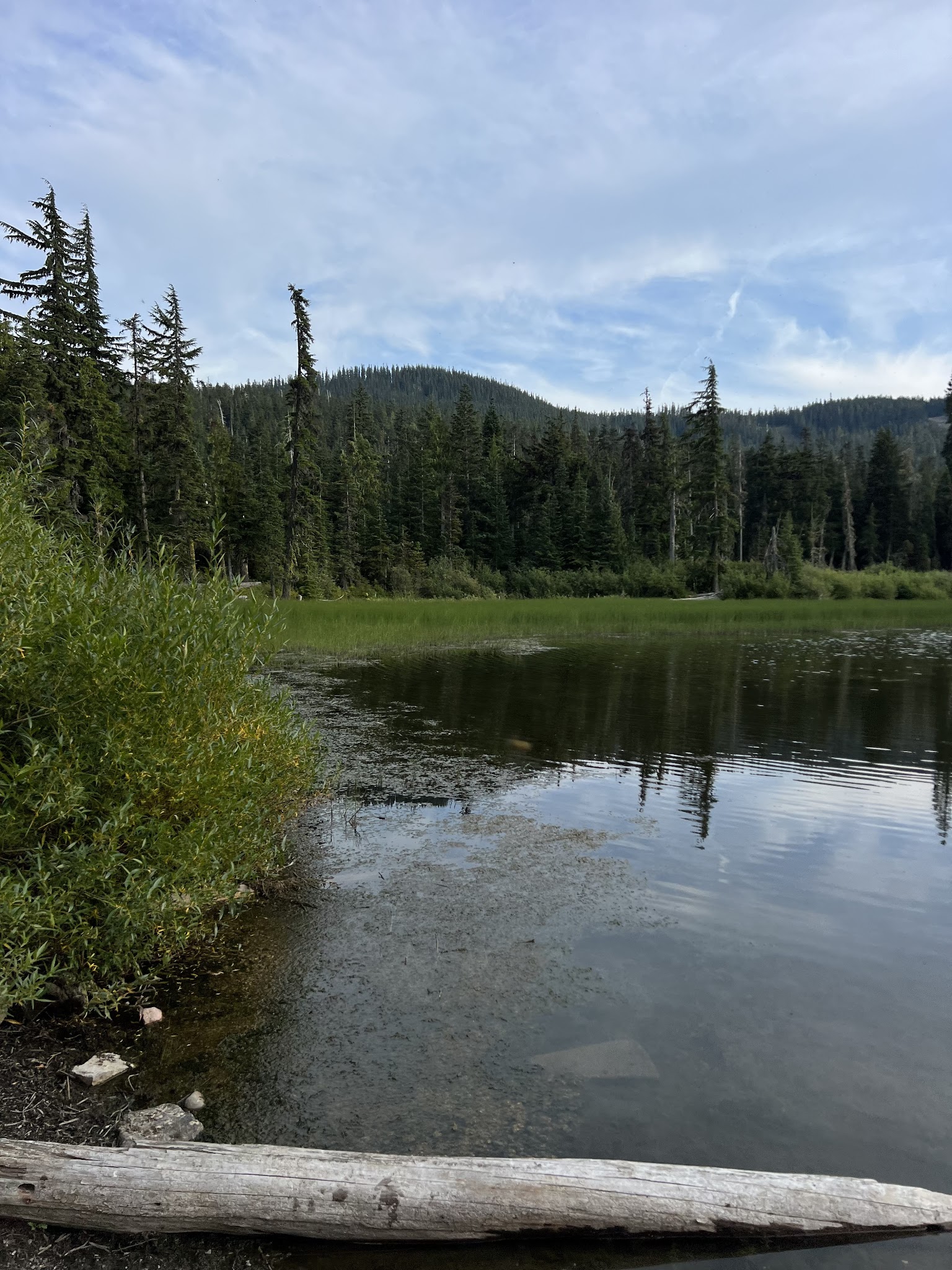 White Pass Lake (Leech Lake) Campground