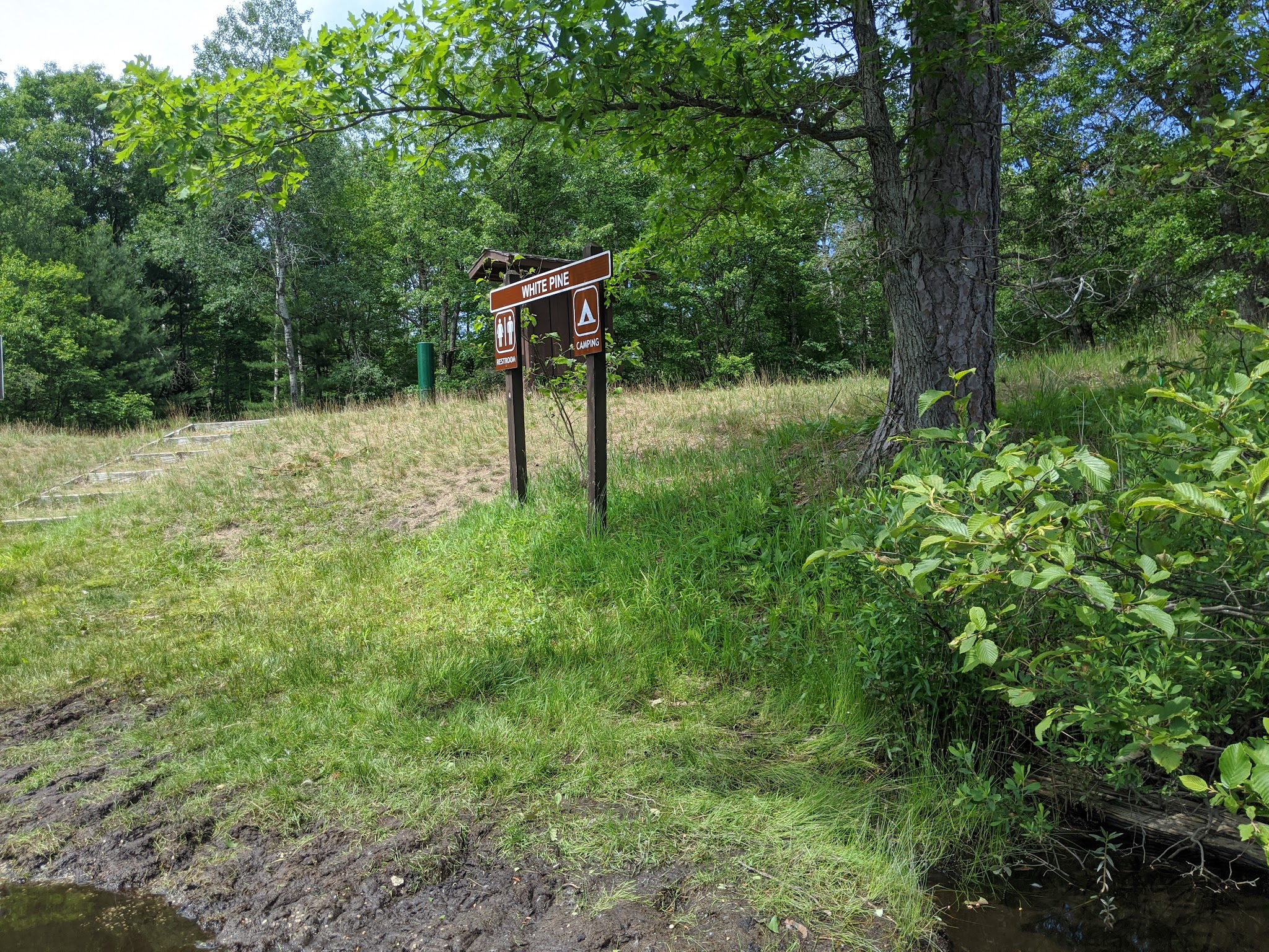 White Pine Canoe Camp