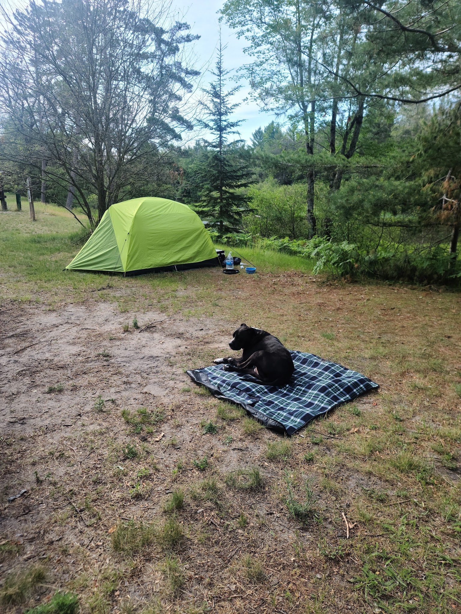 White Pine Canoe Camp