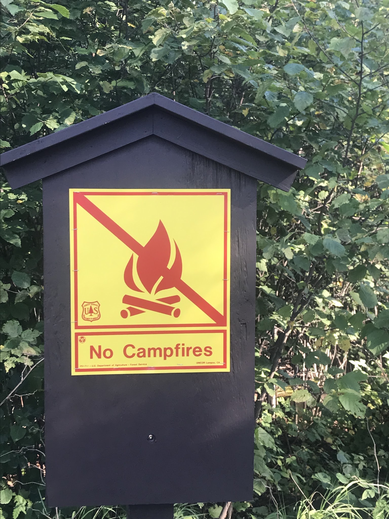 White Pine Lake Rustic Campground