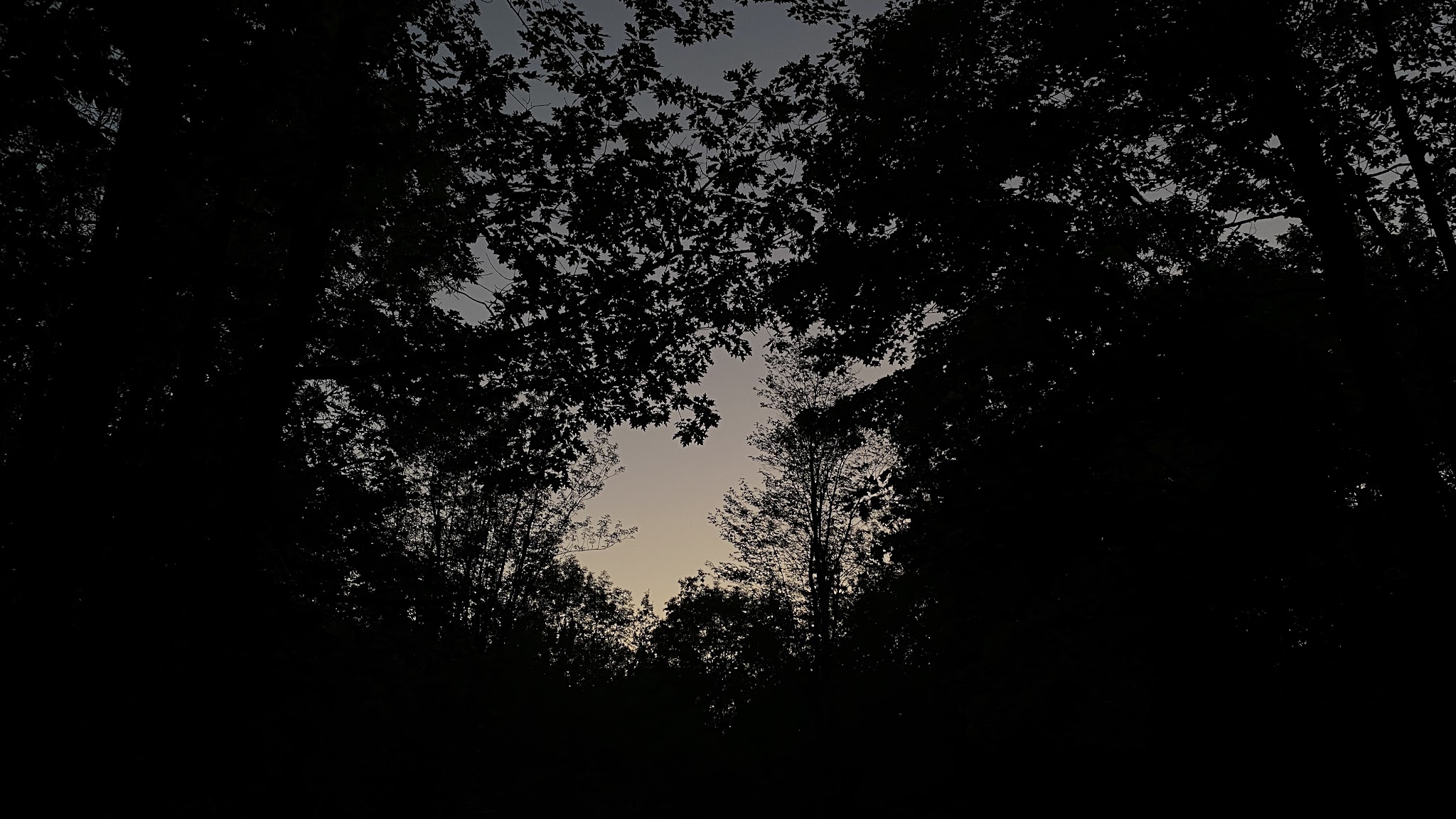 Porcupine Mountains-White Pine Outpost Camp