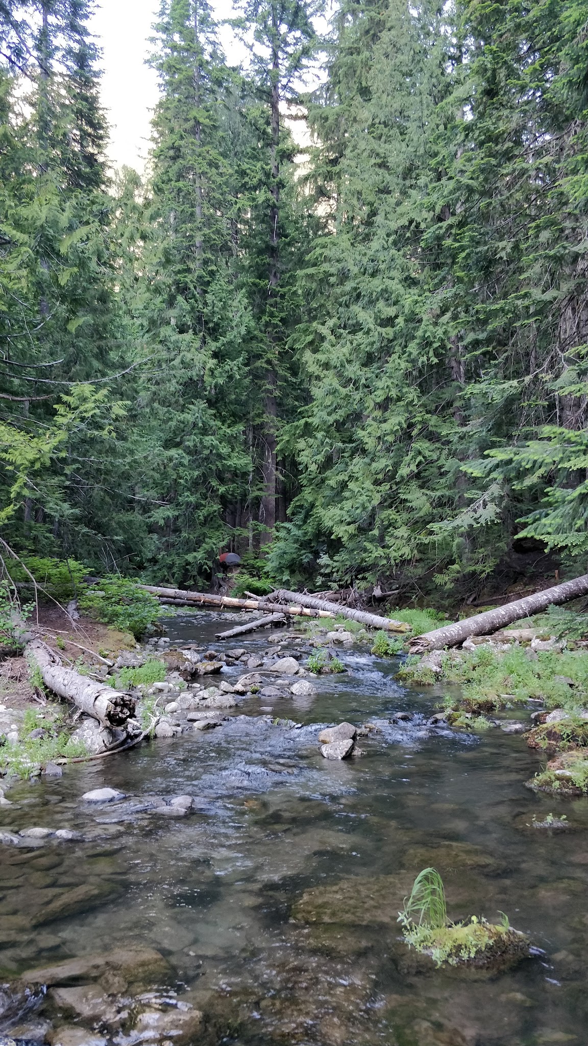 White River Falls Campground