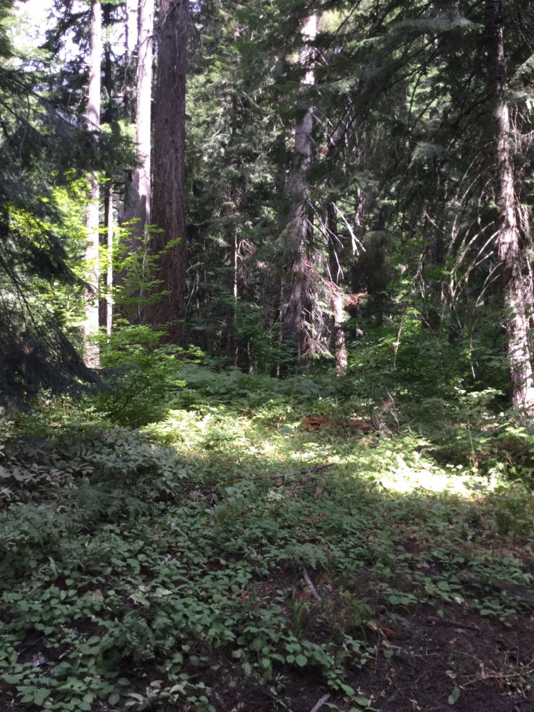 White River Falls Campground