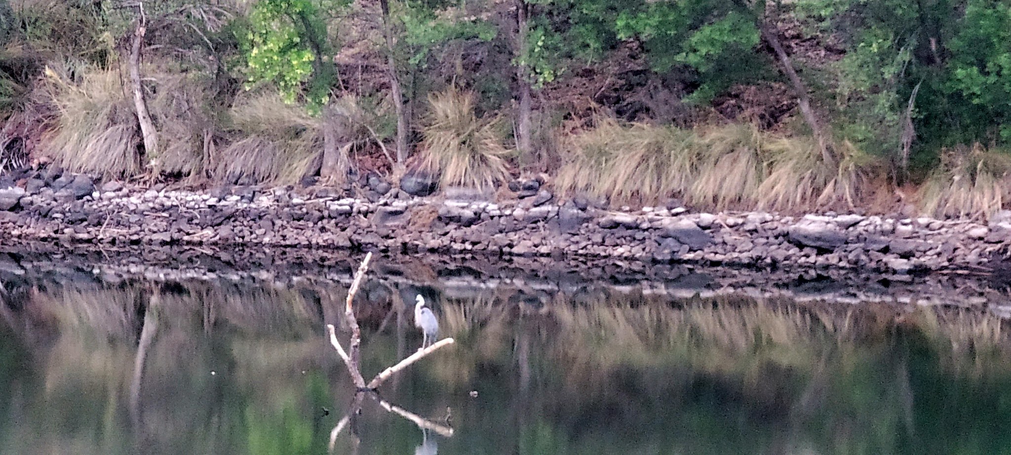White Rock Campground