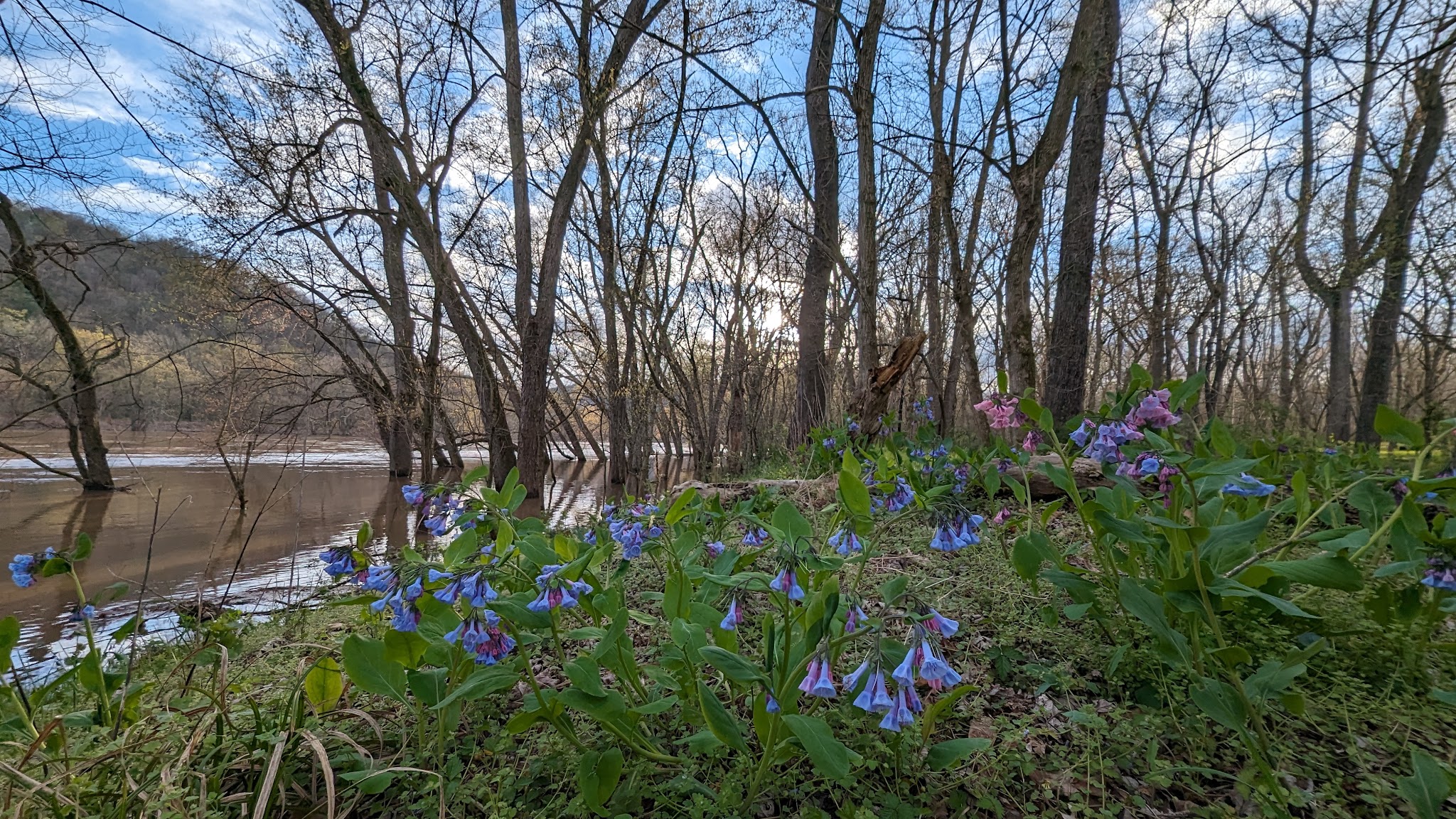 White Rock Hiker-Biker Campsite