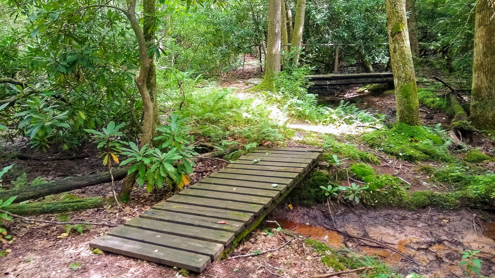 White Rocks Campground