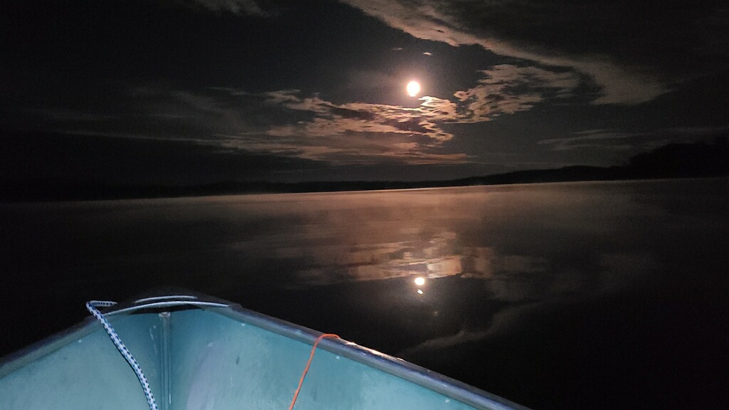 Whitefish Lake Rustic Campgd & Timber-Frear Area