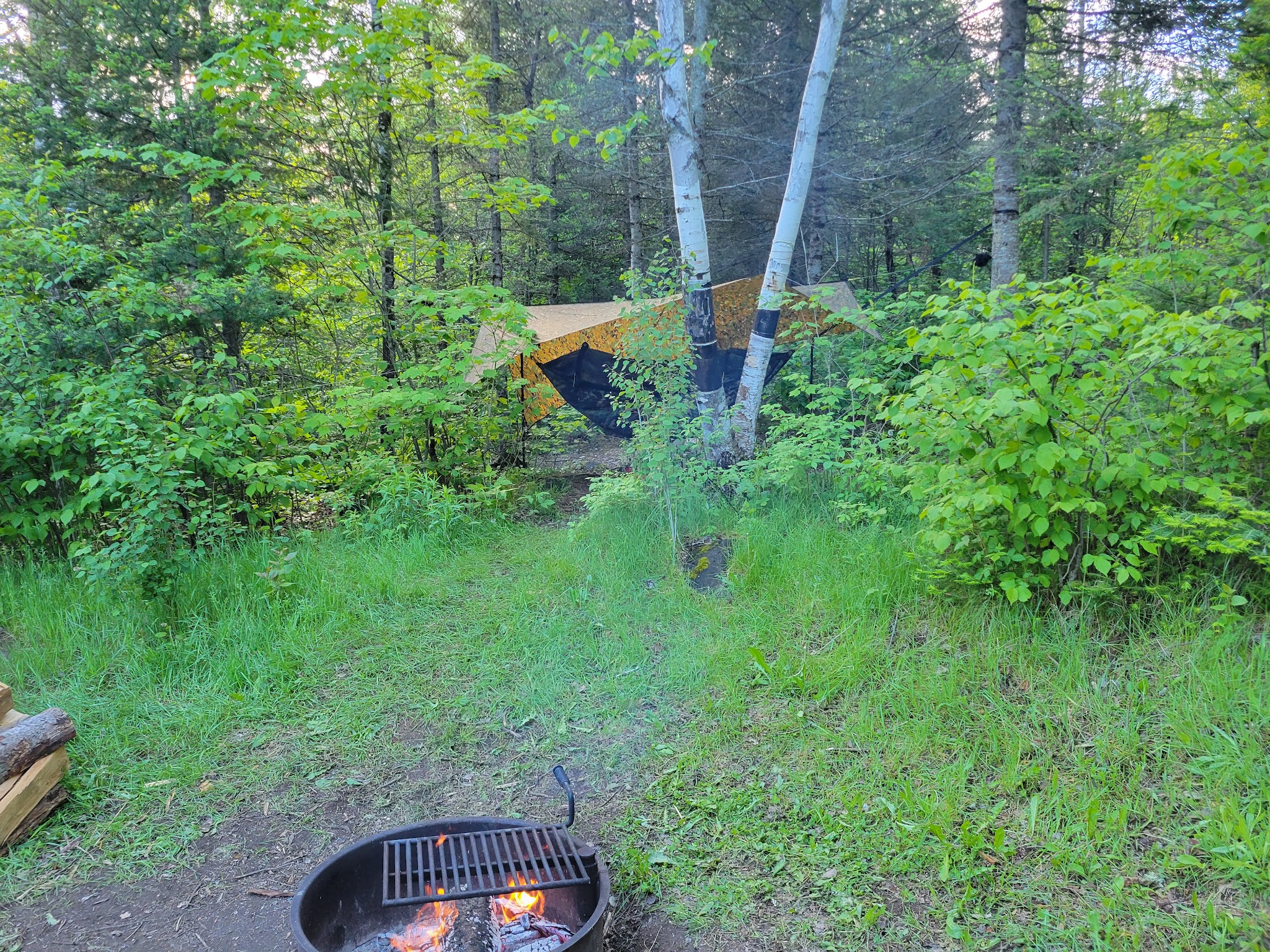 Whitefish Lake Rustic Campgd & Timber-Frear Area