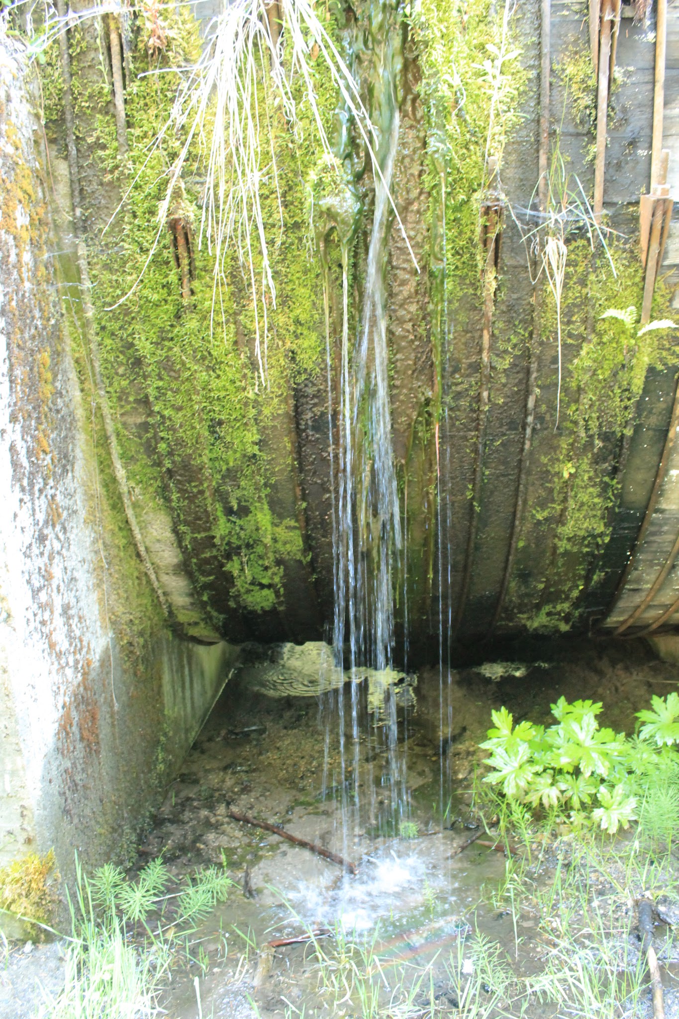 Whitehorse Falls Campground