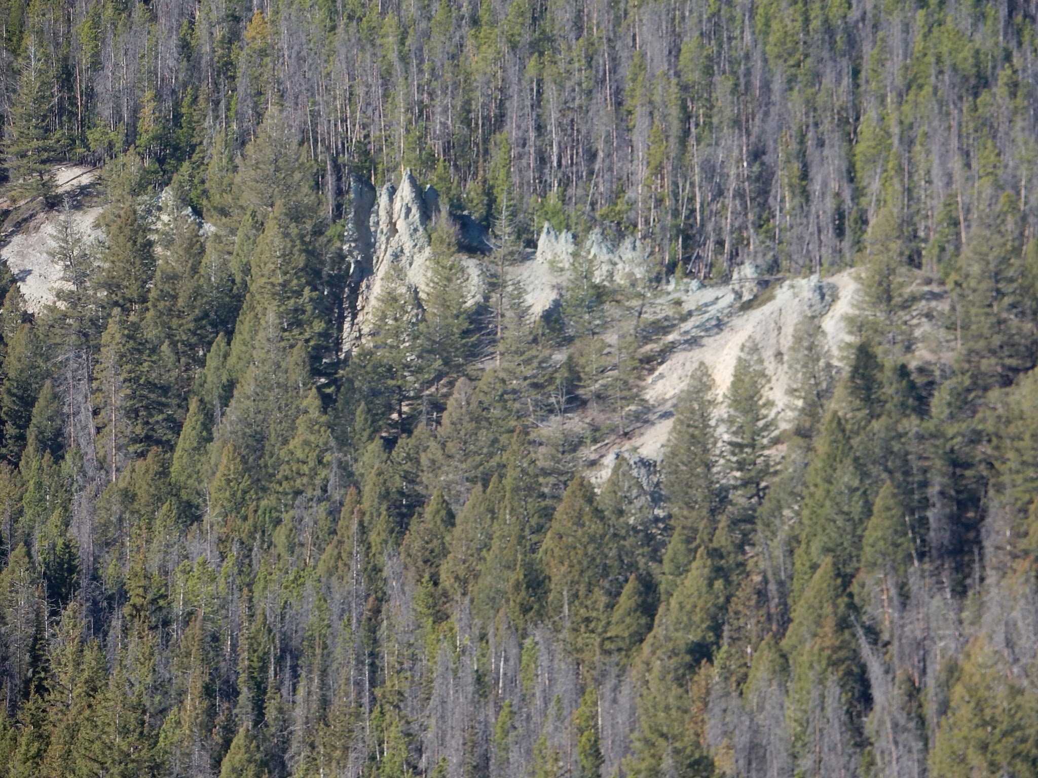 Whitehouse Campground