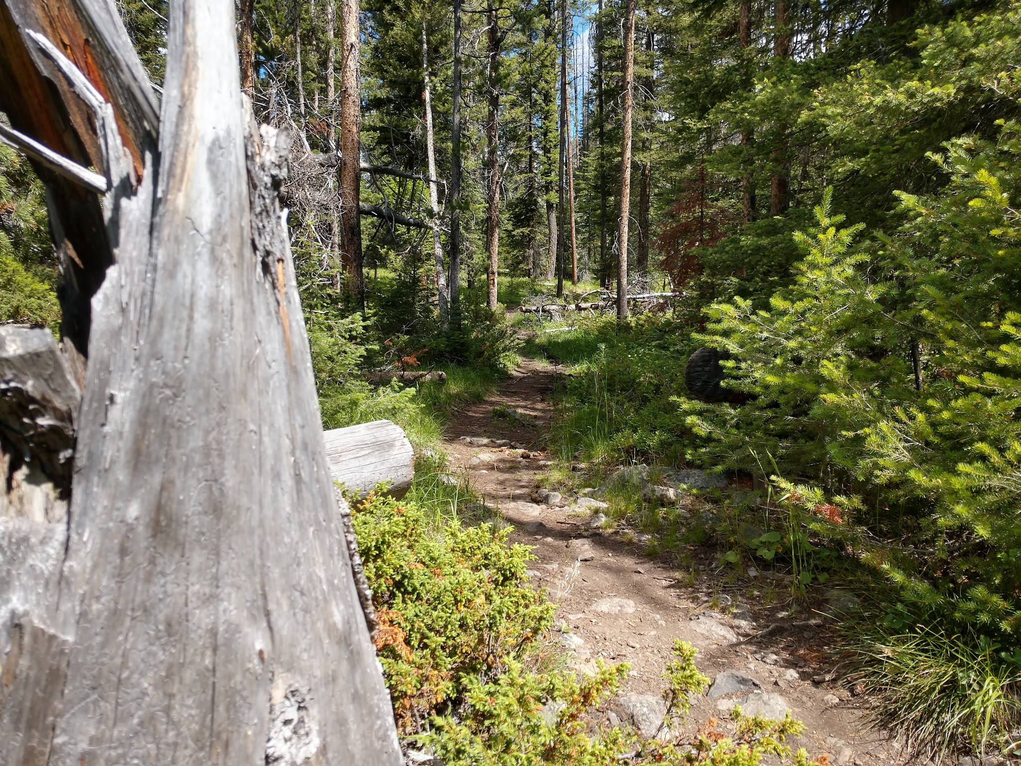 Whitehouse Campground