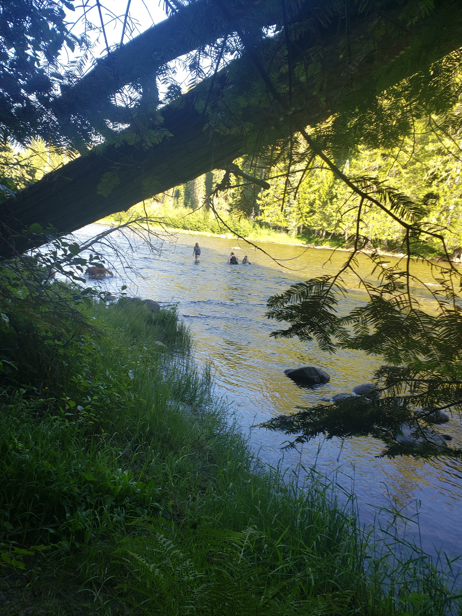 Whitehouse Campground