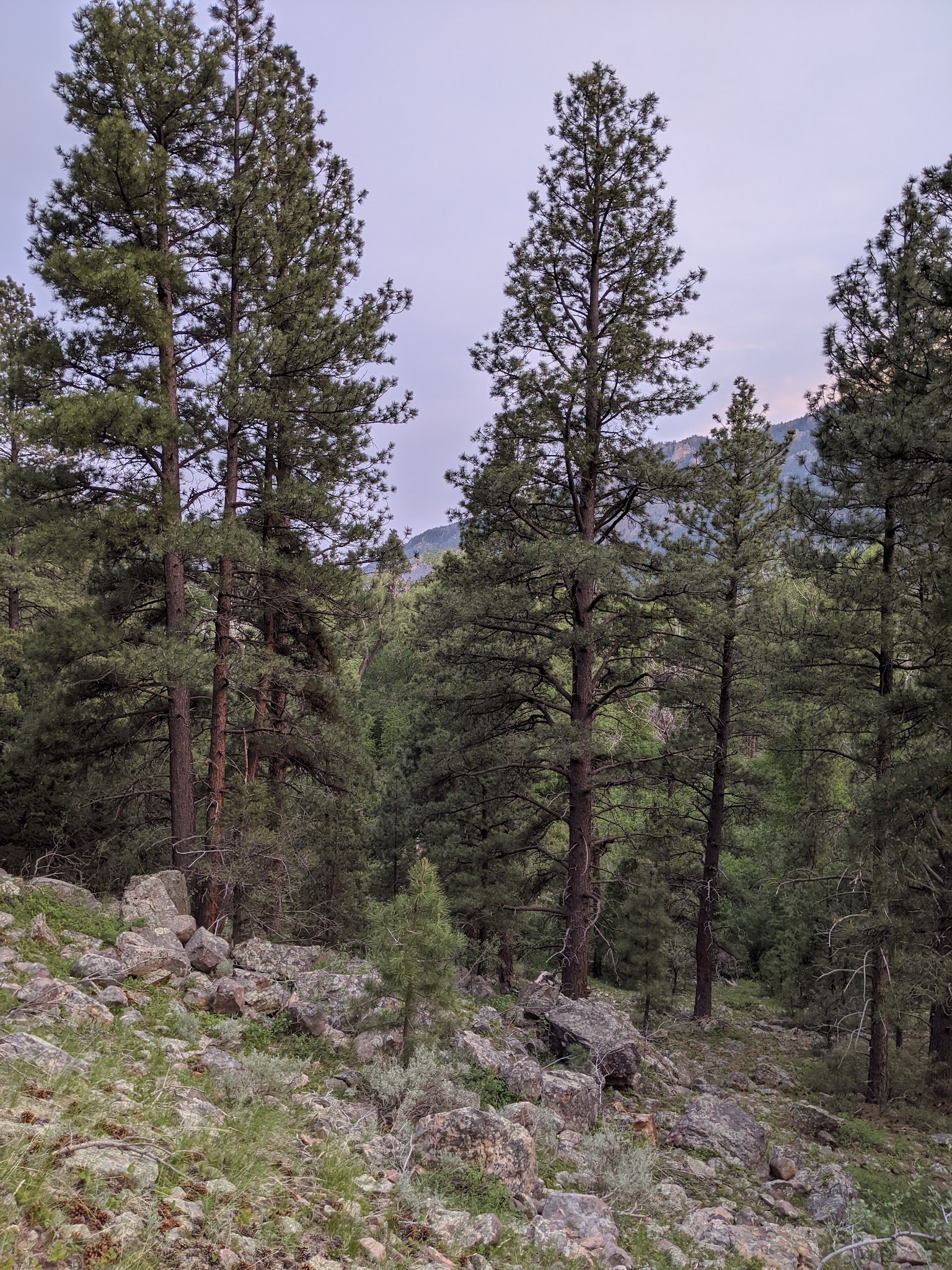 Whiterocks Campground