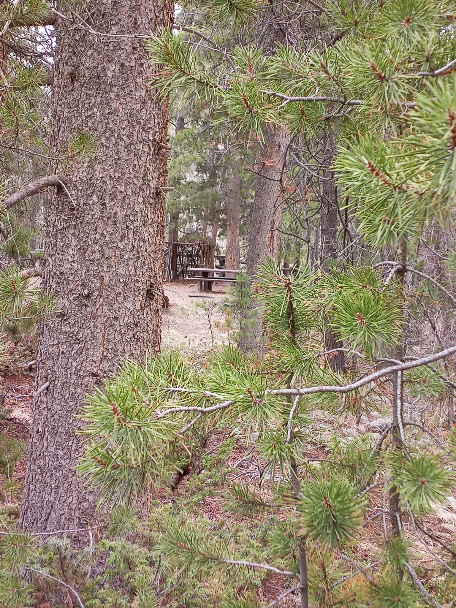 Whiterocks Campground