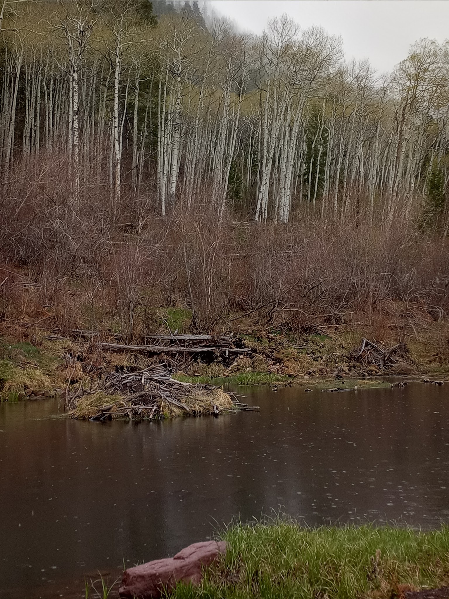 Whiterocks Campground