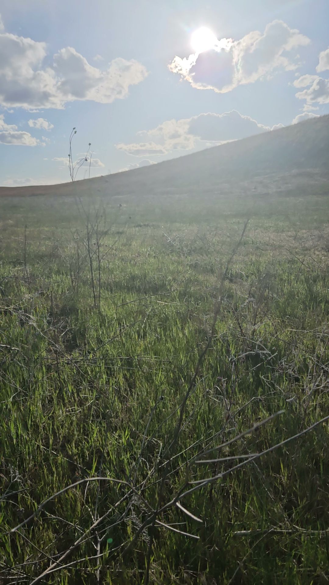 Whitetail Campground