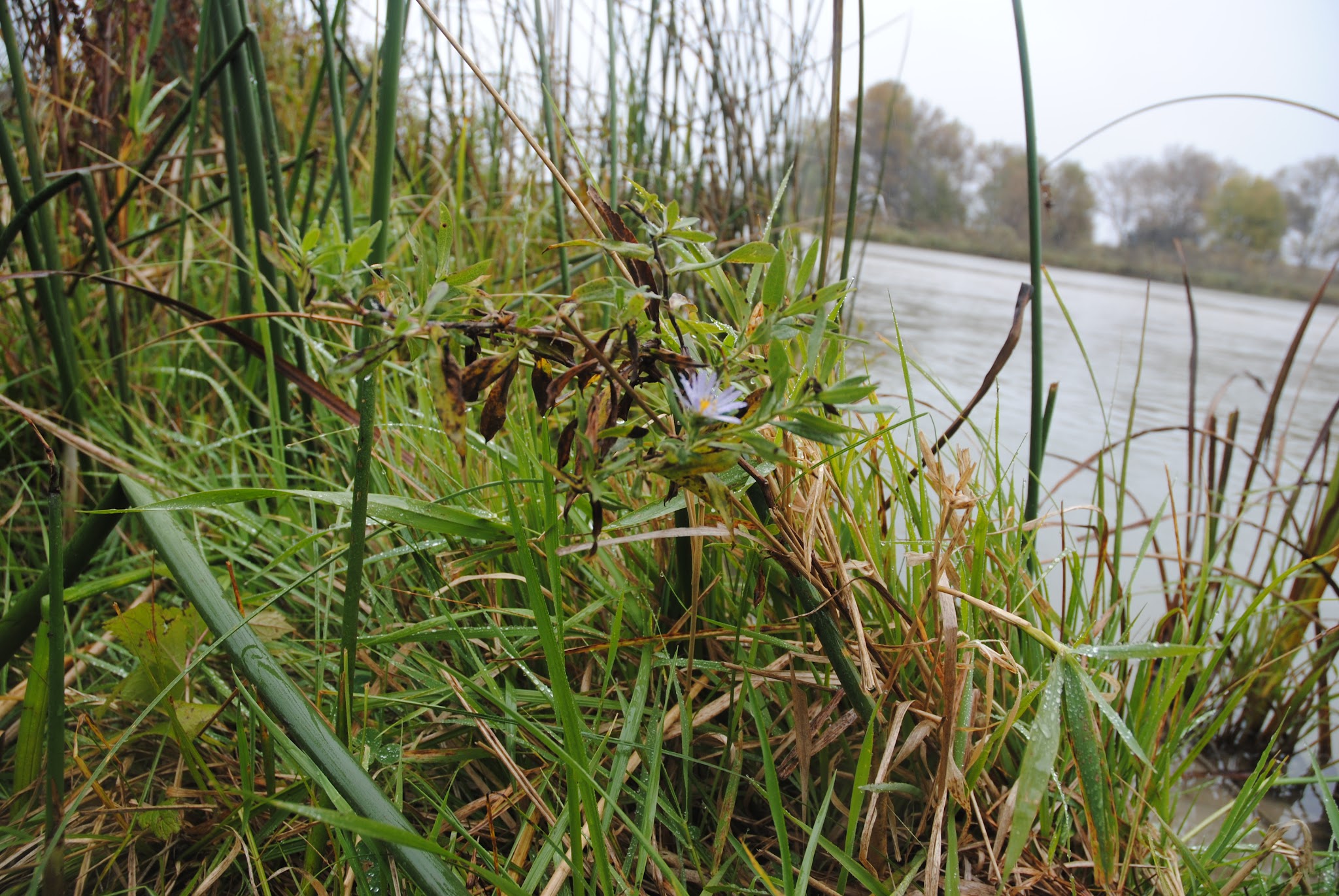 Whitetail Campground