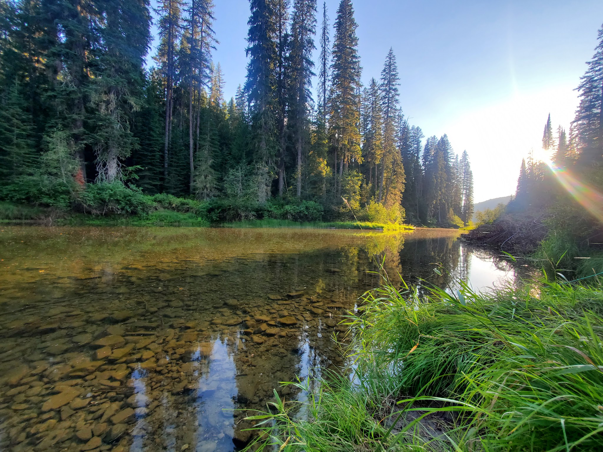 Whitetail Campground