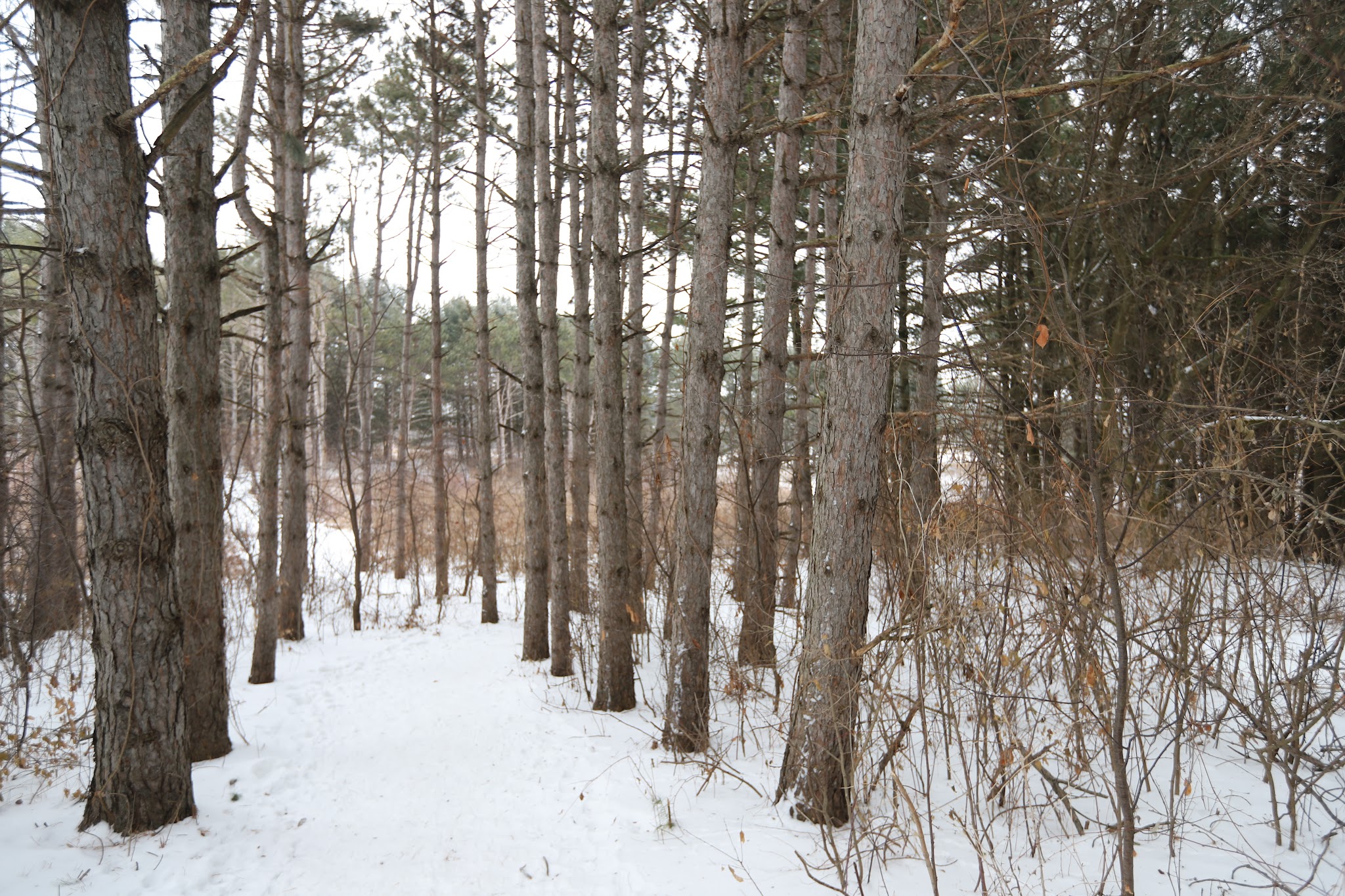 Camper Cabins And Yurts Campground