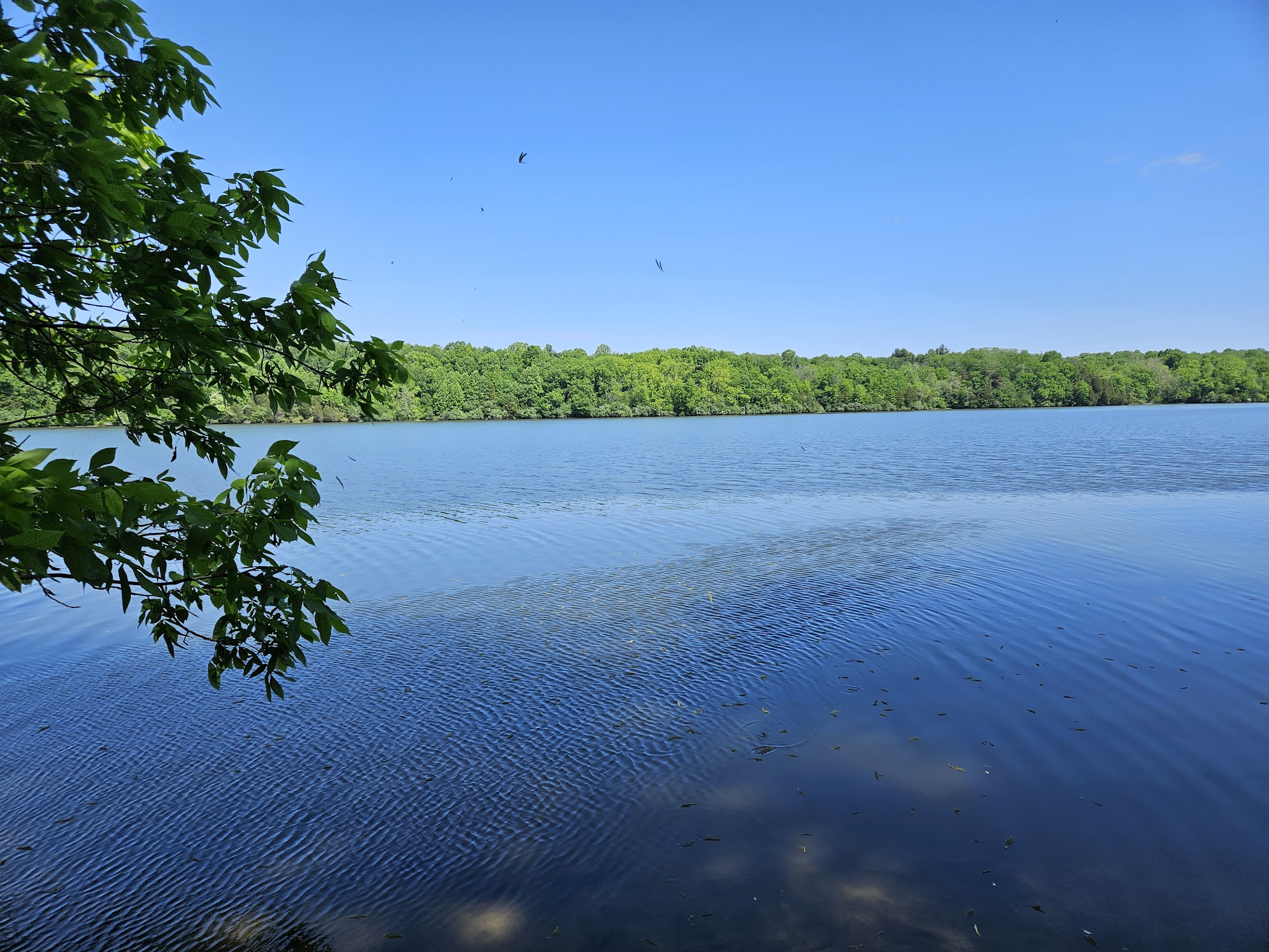 Whitewater Memorial State Park
