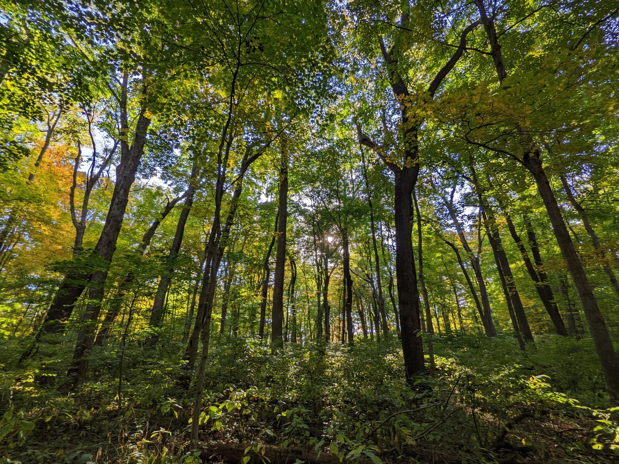 Whitewater Memorial State Park
