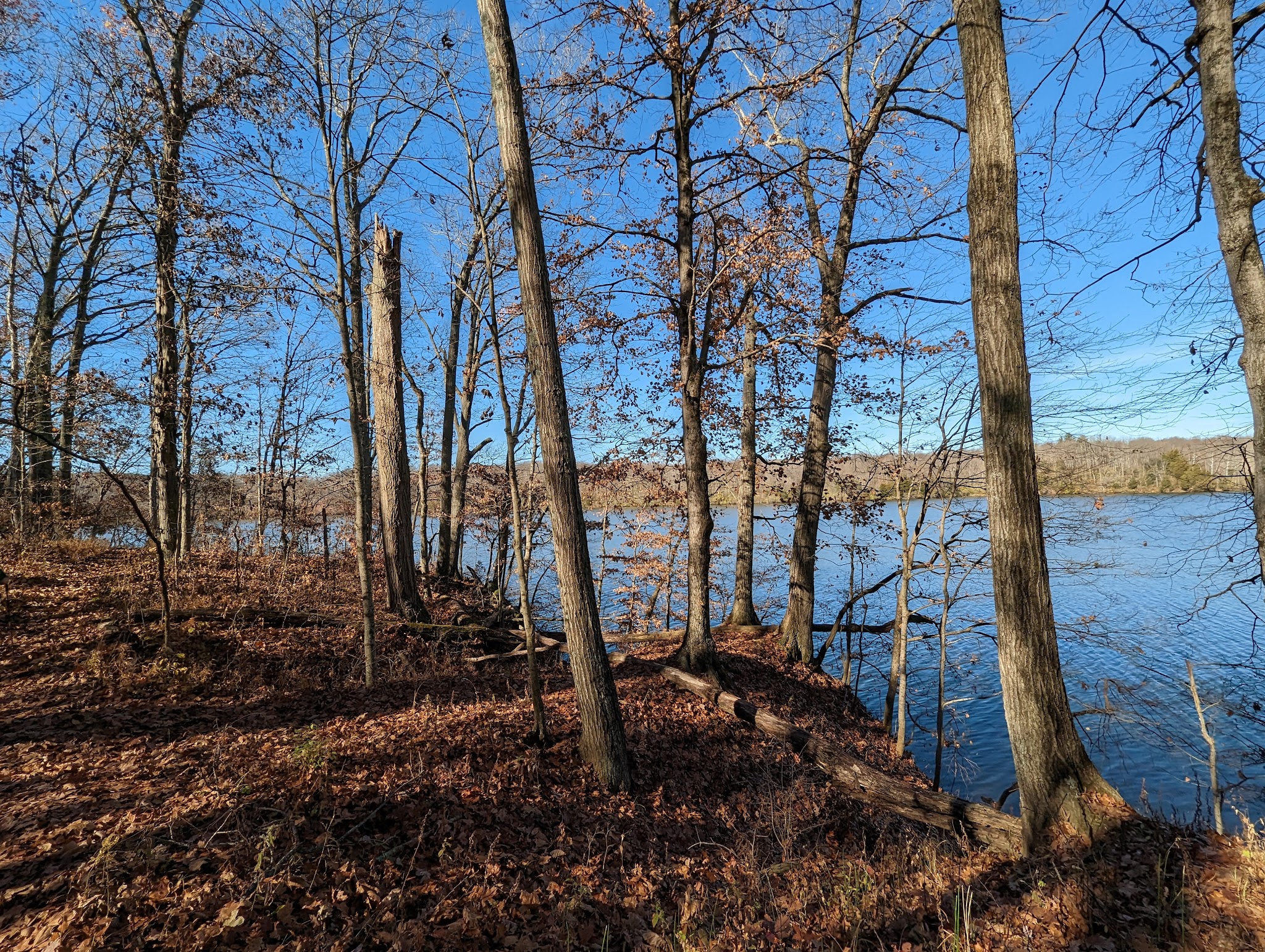Whitewater Memorial State Park