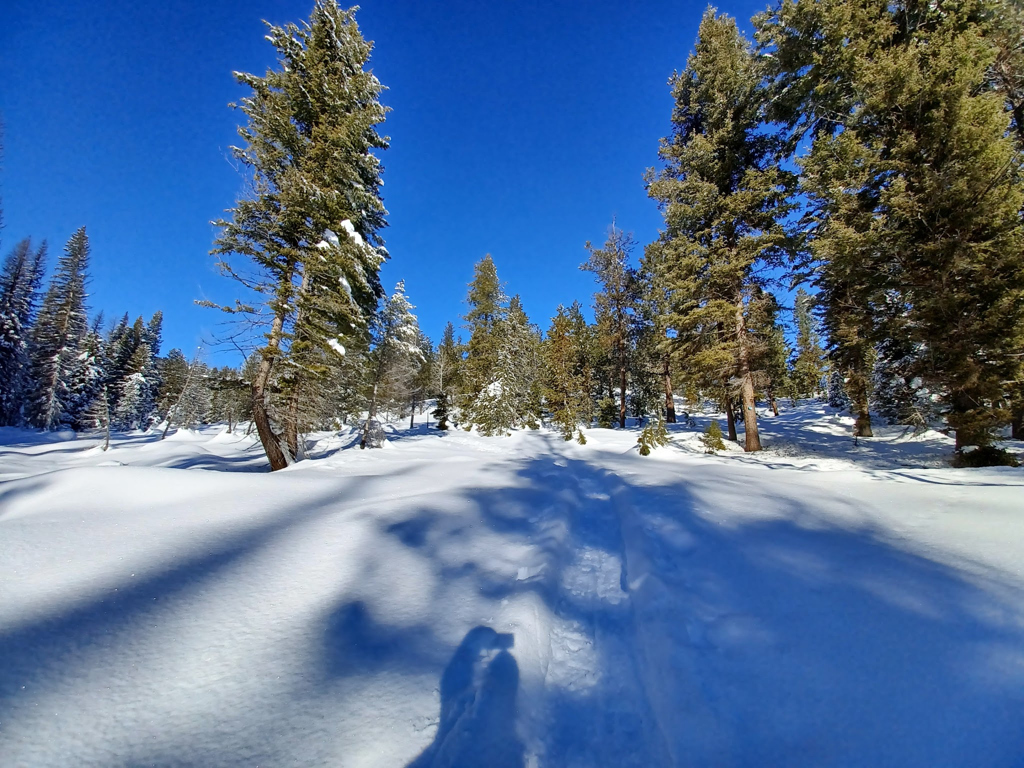 Whoop Um Up Campground (Equestrian)