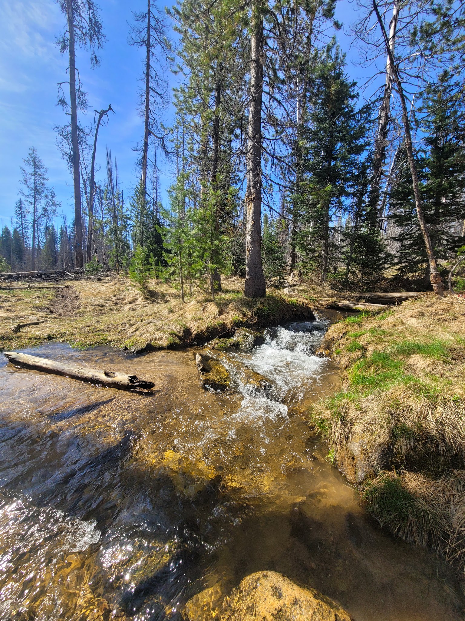 Whoop Um Up Campground (Equestrian)