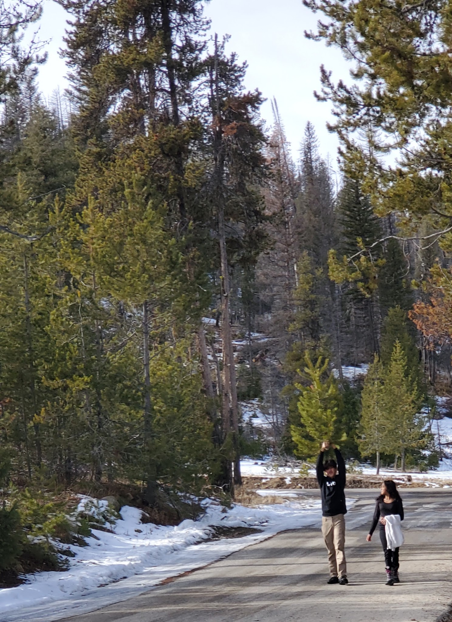 Whoop Um Up Campground (Equestrian)