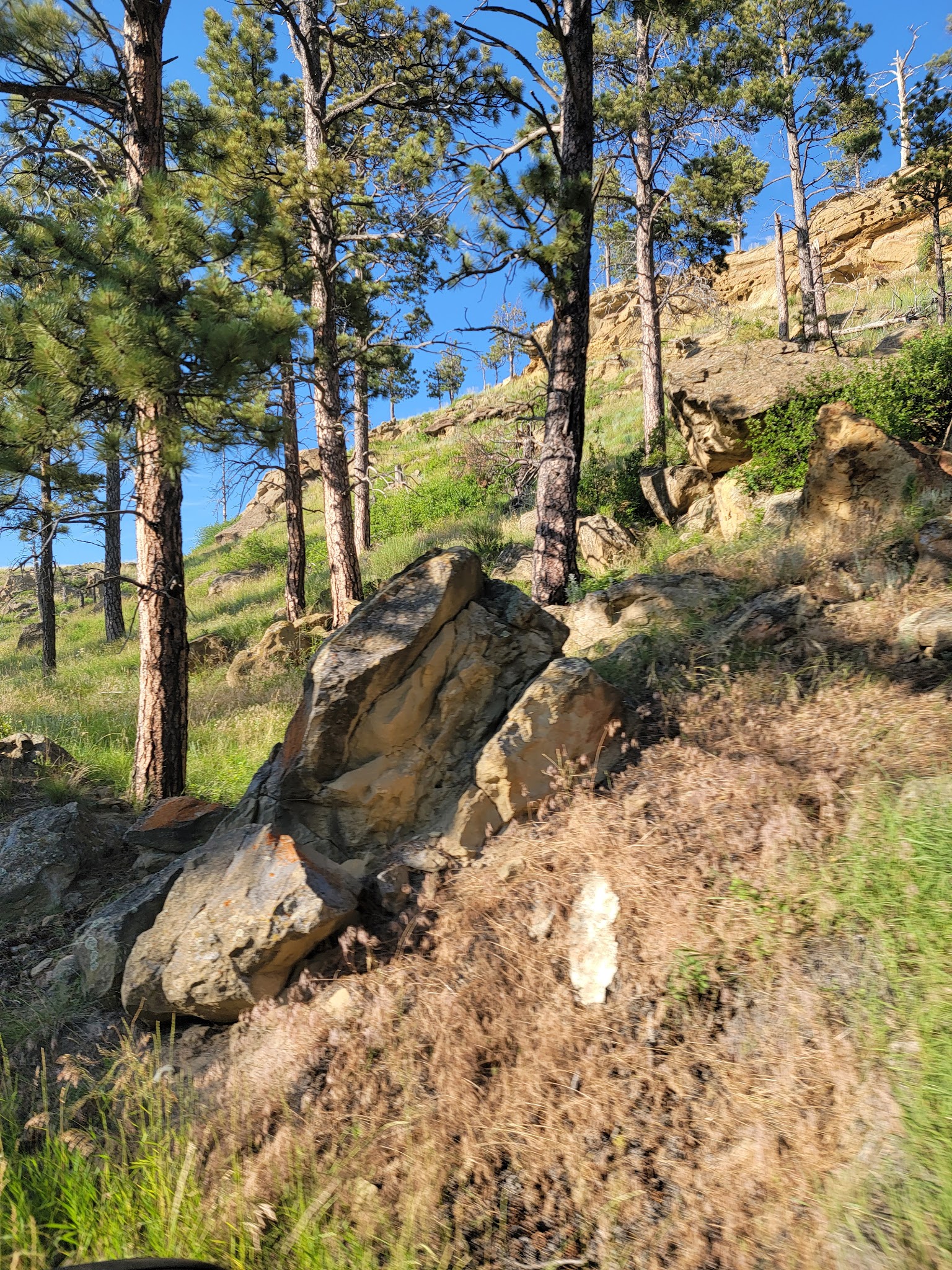 Wickham Gulch Campground