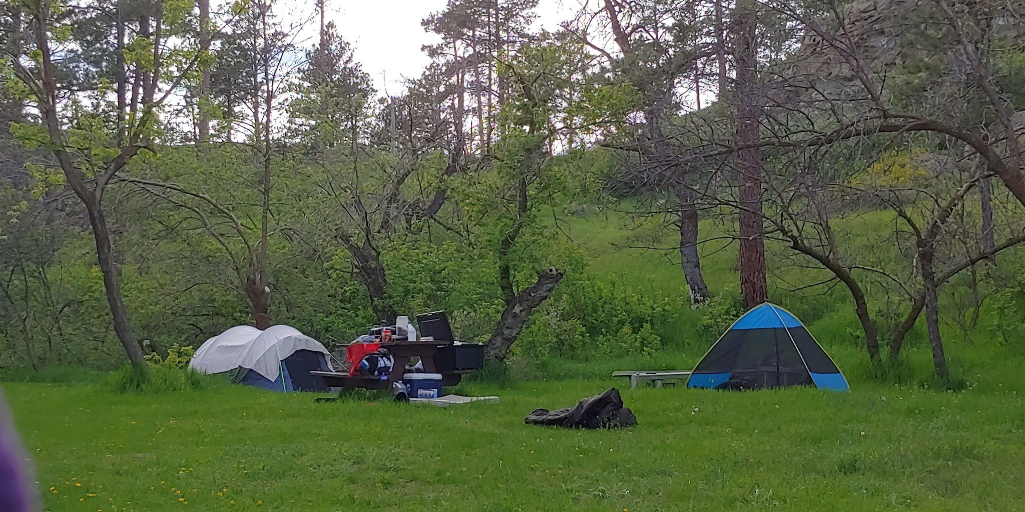 Wickham Gulch Campground