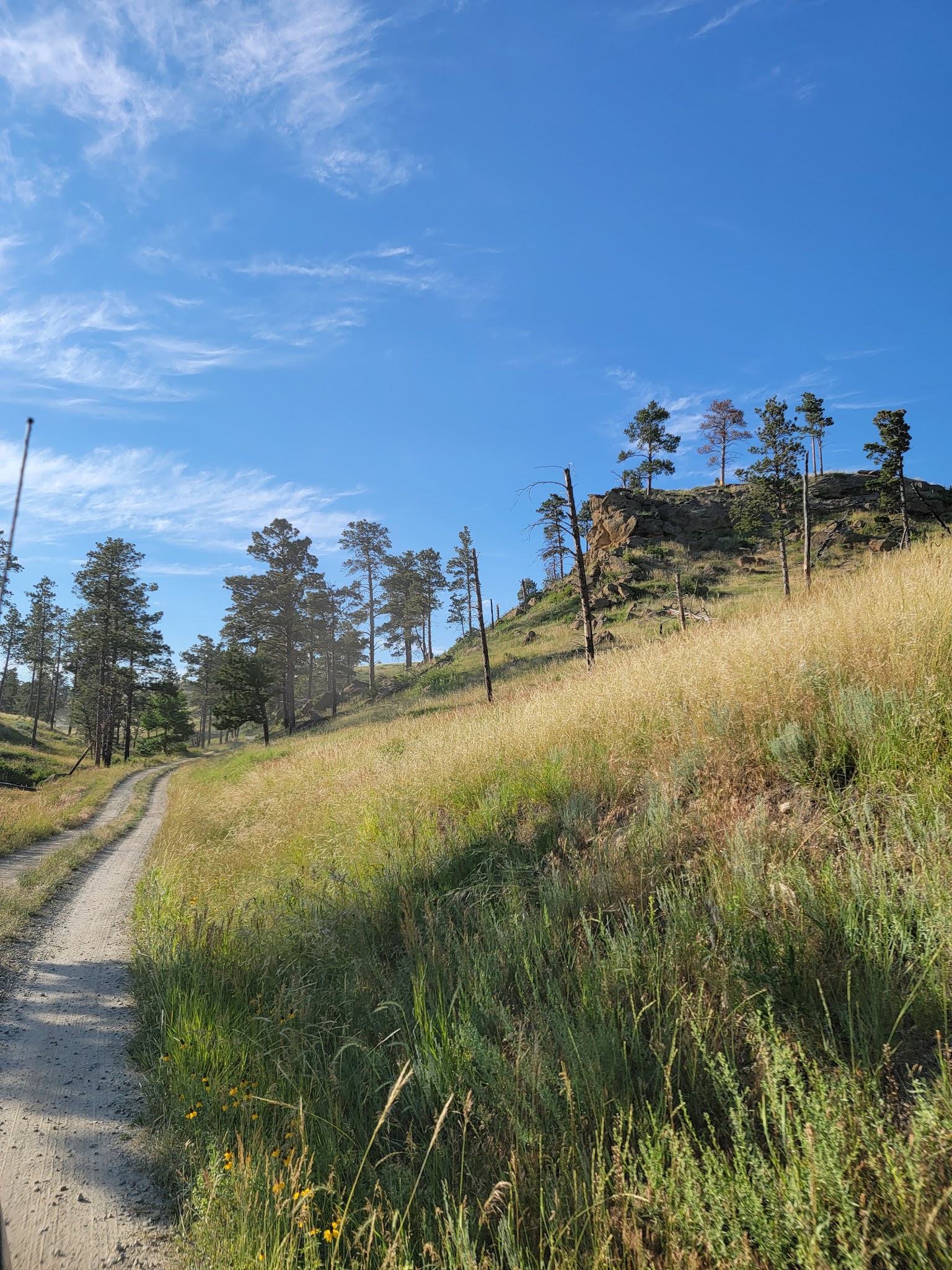 Wickham Gulch Campground