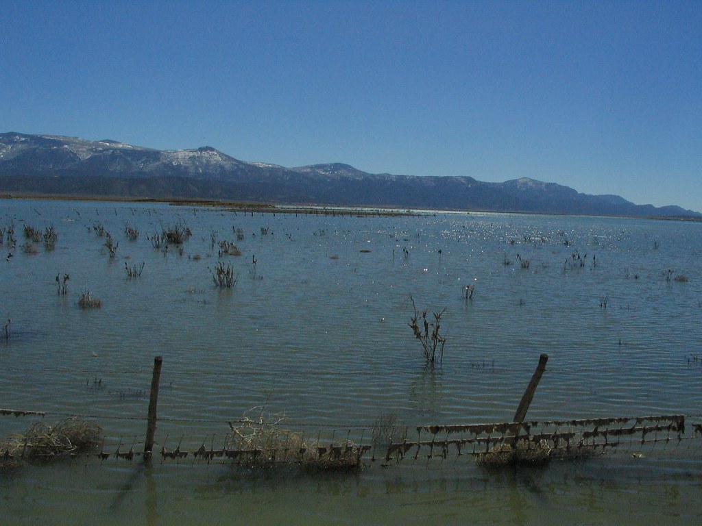 Wikimedia Commons