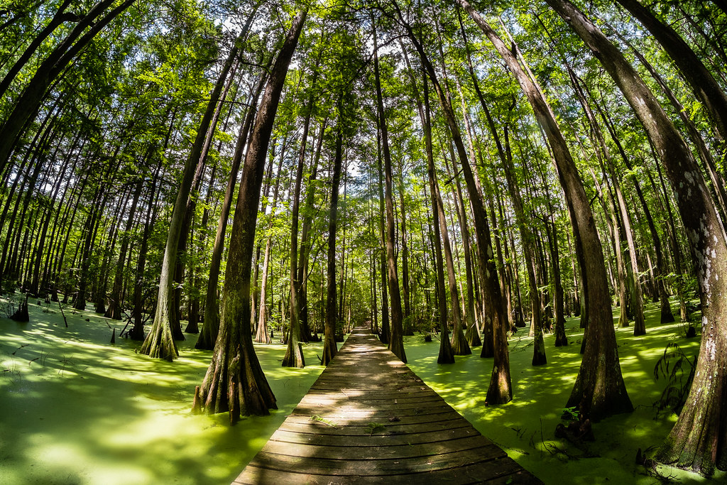 Lake Chicot State Park