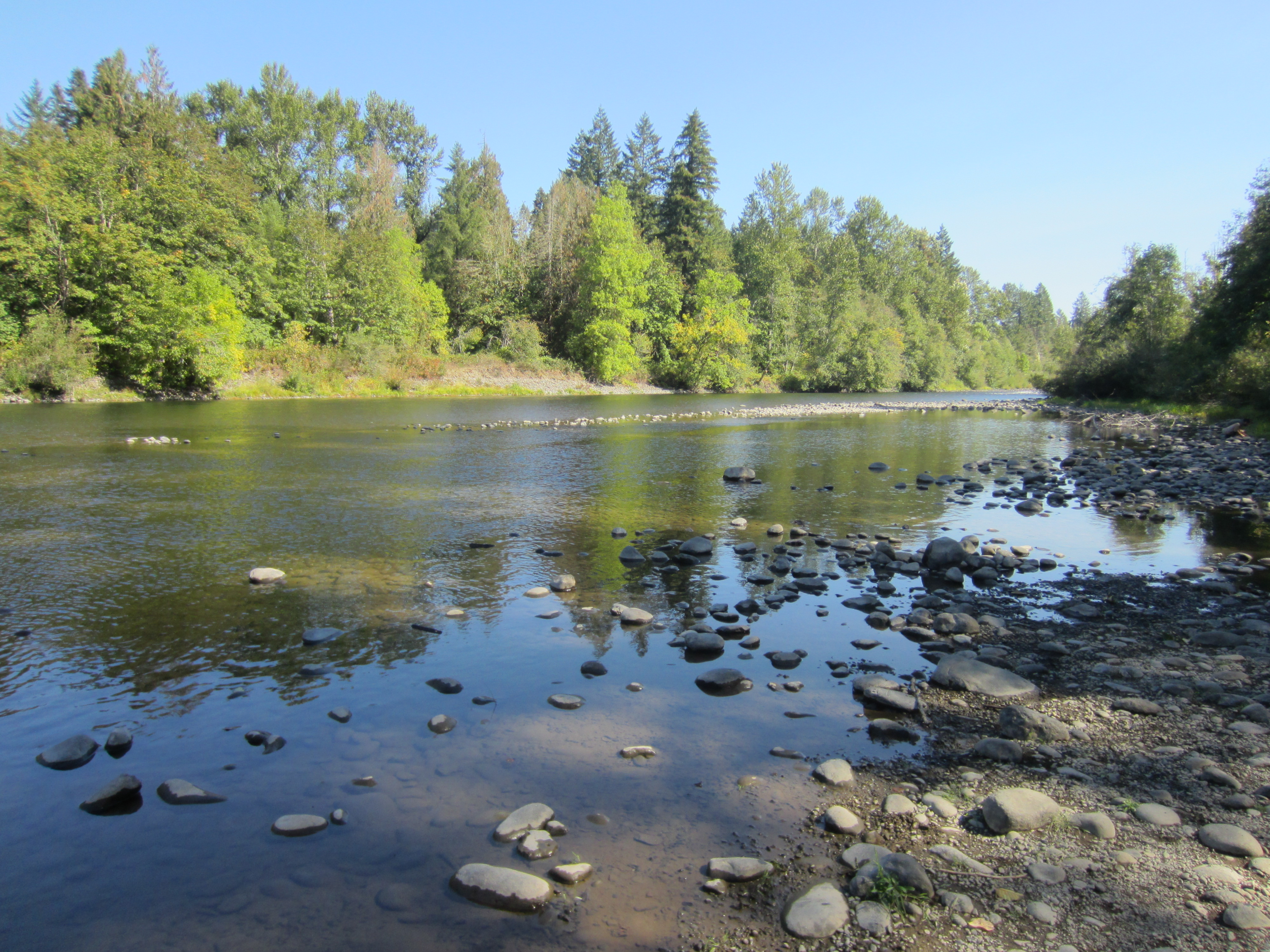 Milo Mciver State Park