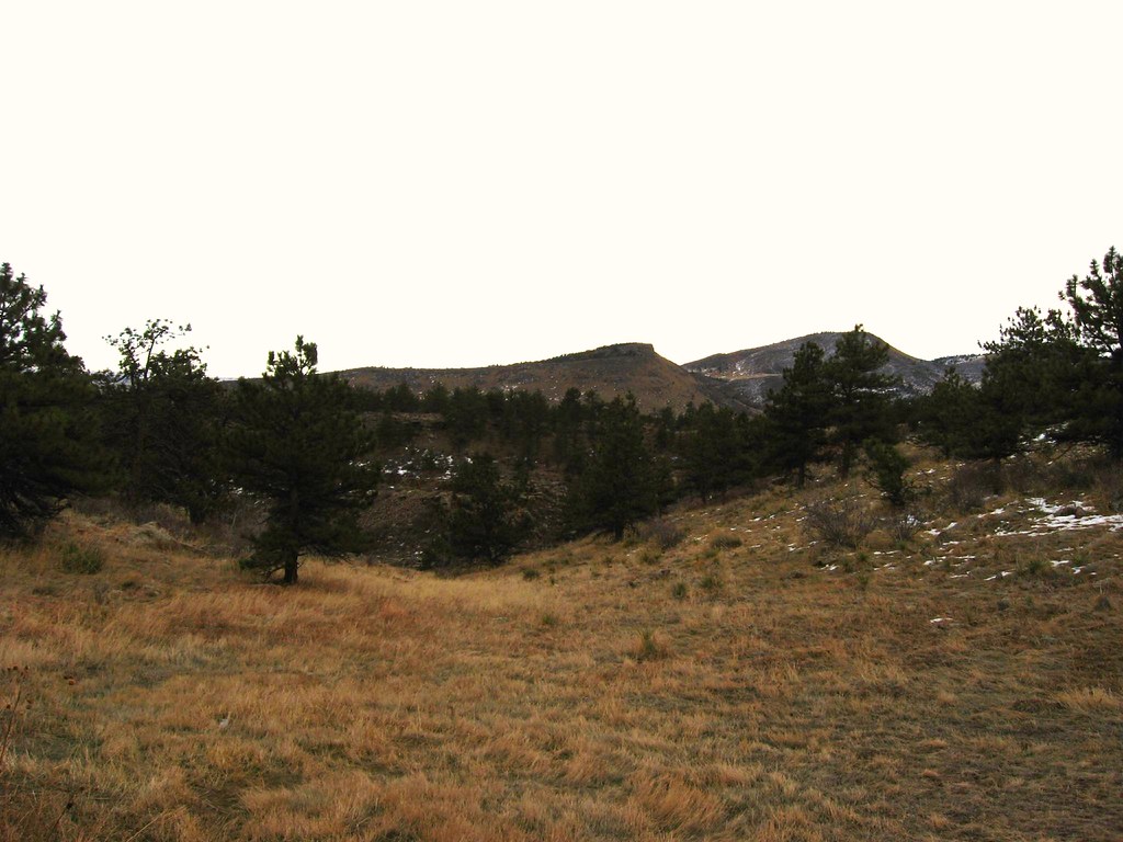 Wikimedia Commons