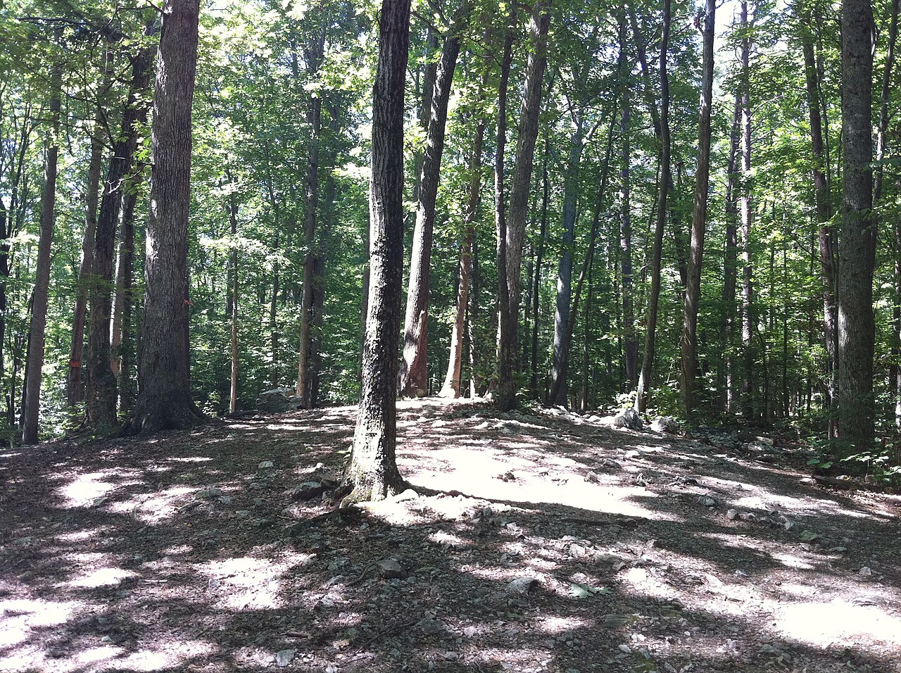 Burke Lake Park Campground