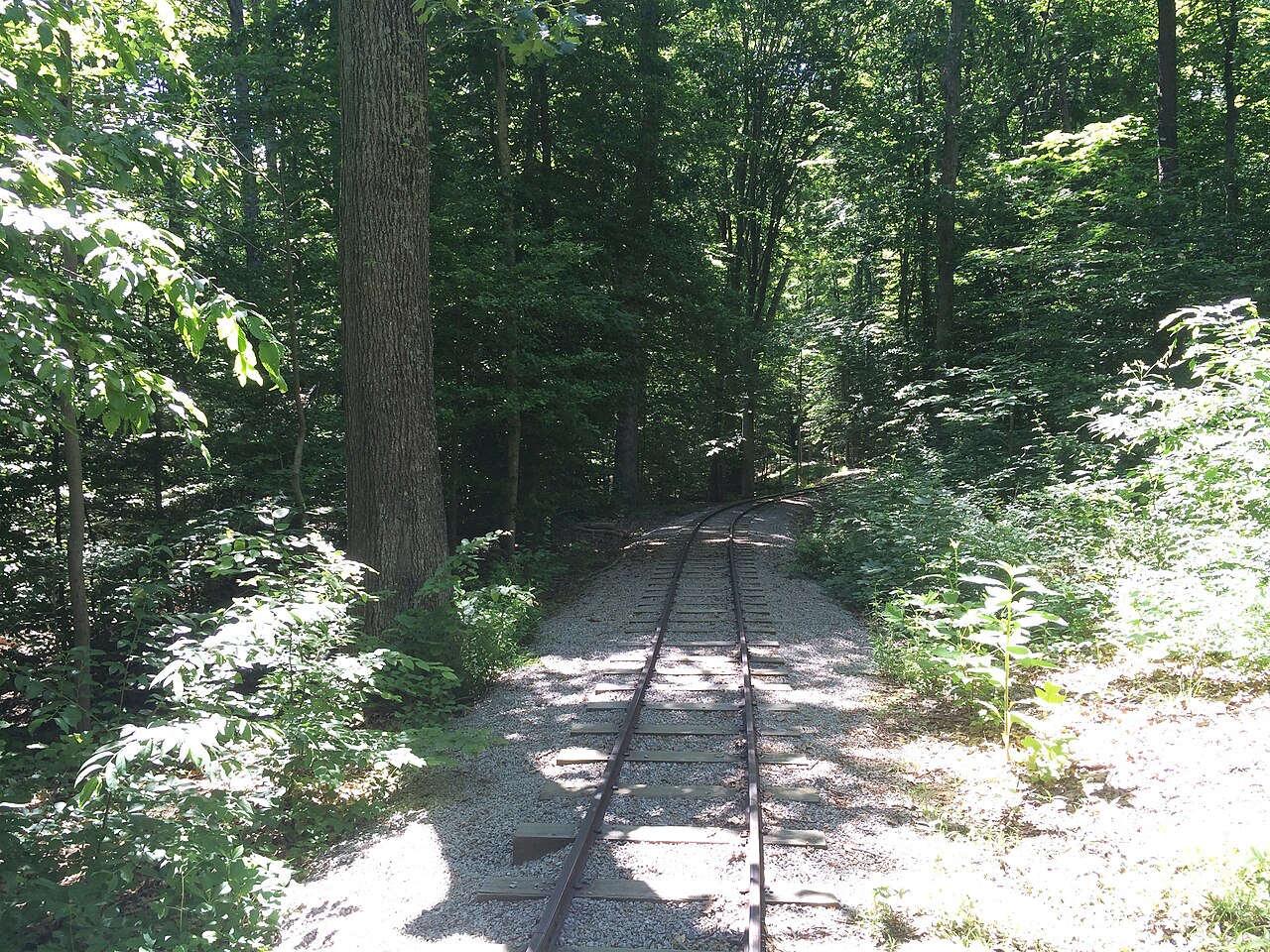 Burke Lake Park Campground